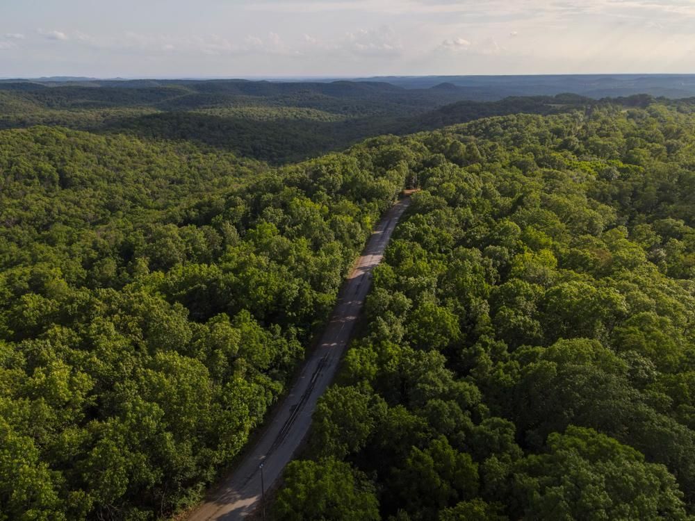 Chadwick, Christian County, MO Recreational Property, Timberland