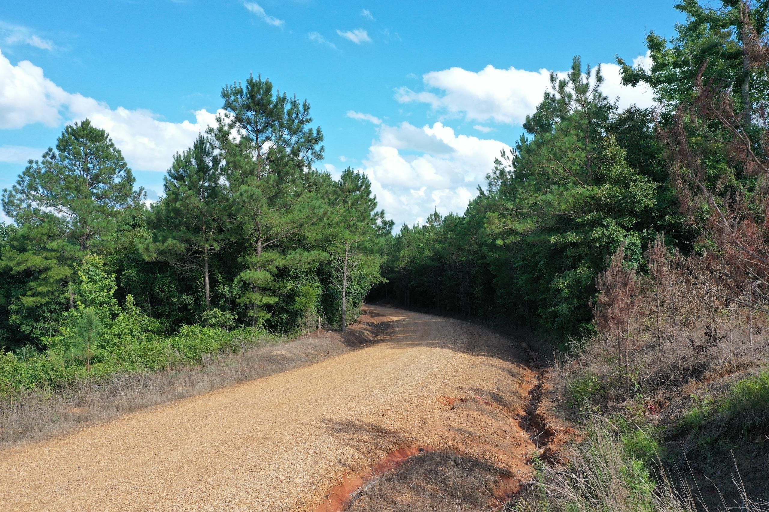 Ackerman, Choctaw County, MS Farms and Ranches, Timberland Property