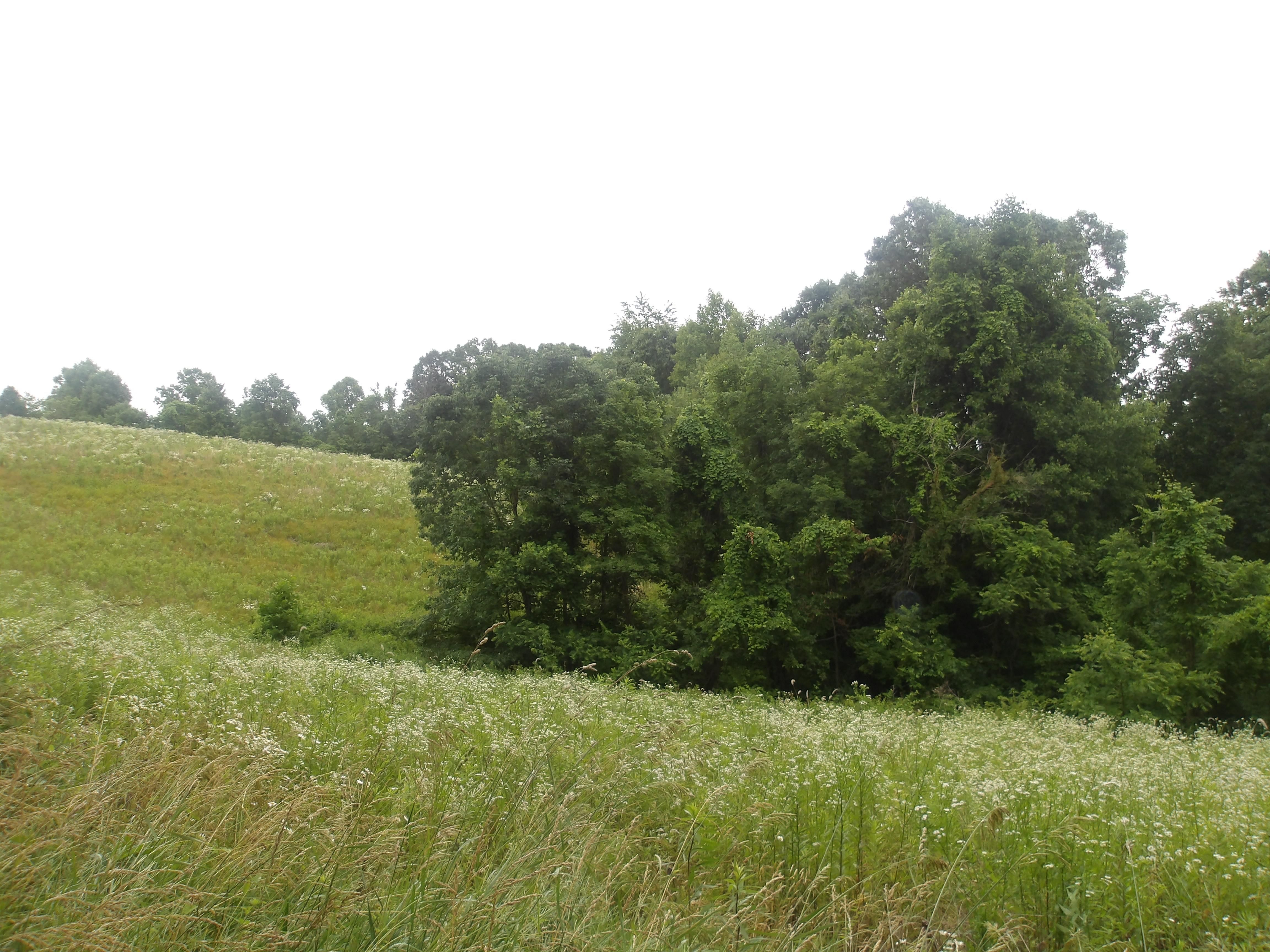 34546 Atherton Ridge Road, Macksburg, OH 45746 LandWatch