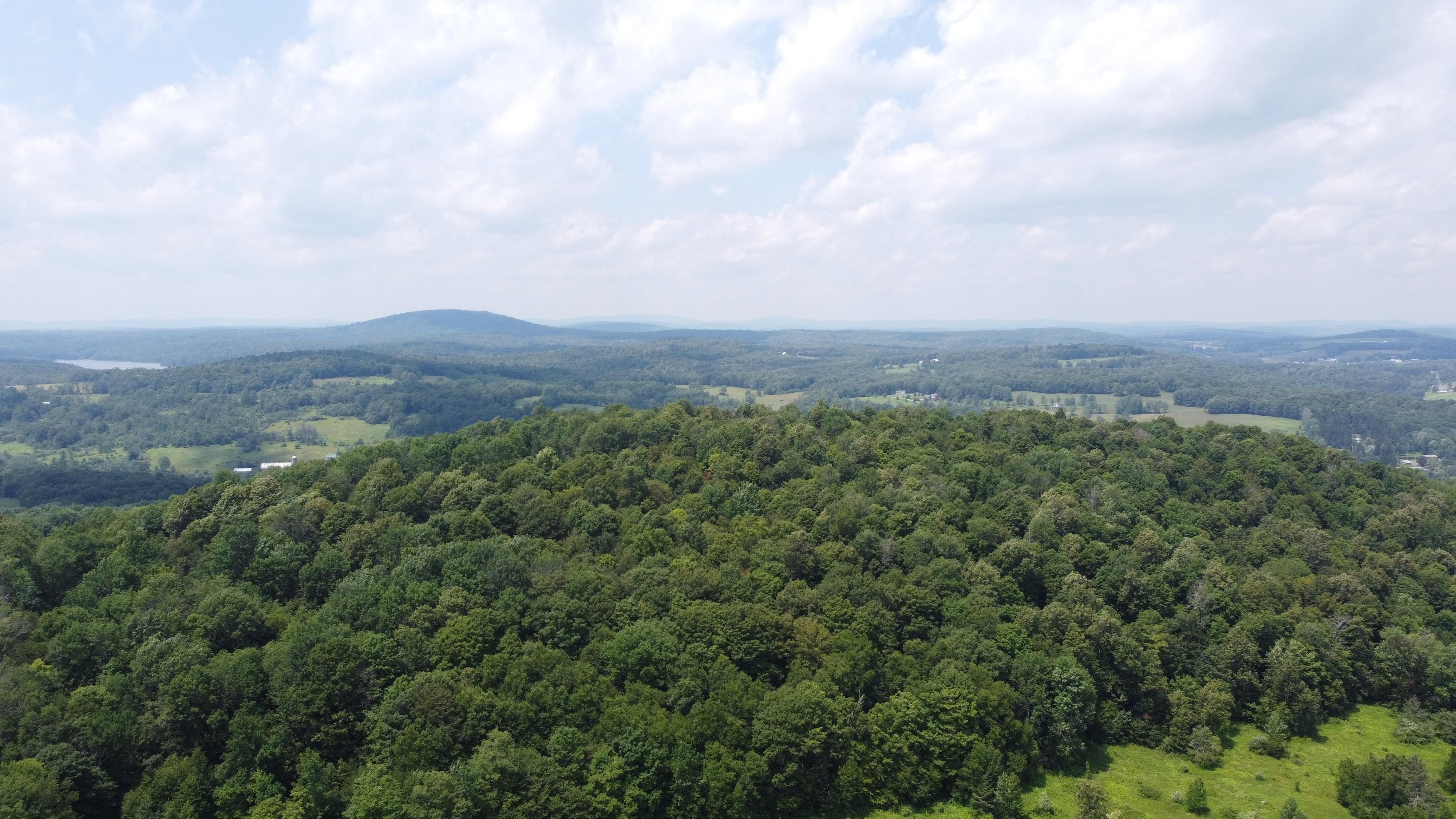 Damascus, Wayne County, PA Recreational Property, Undeveloped Land for