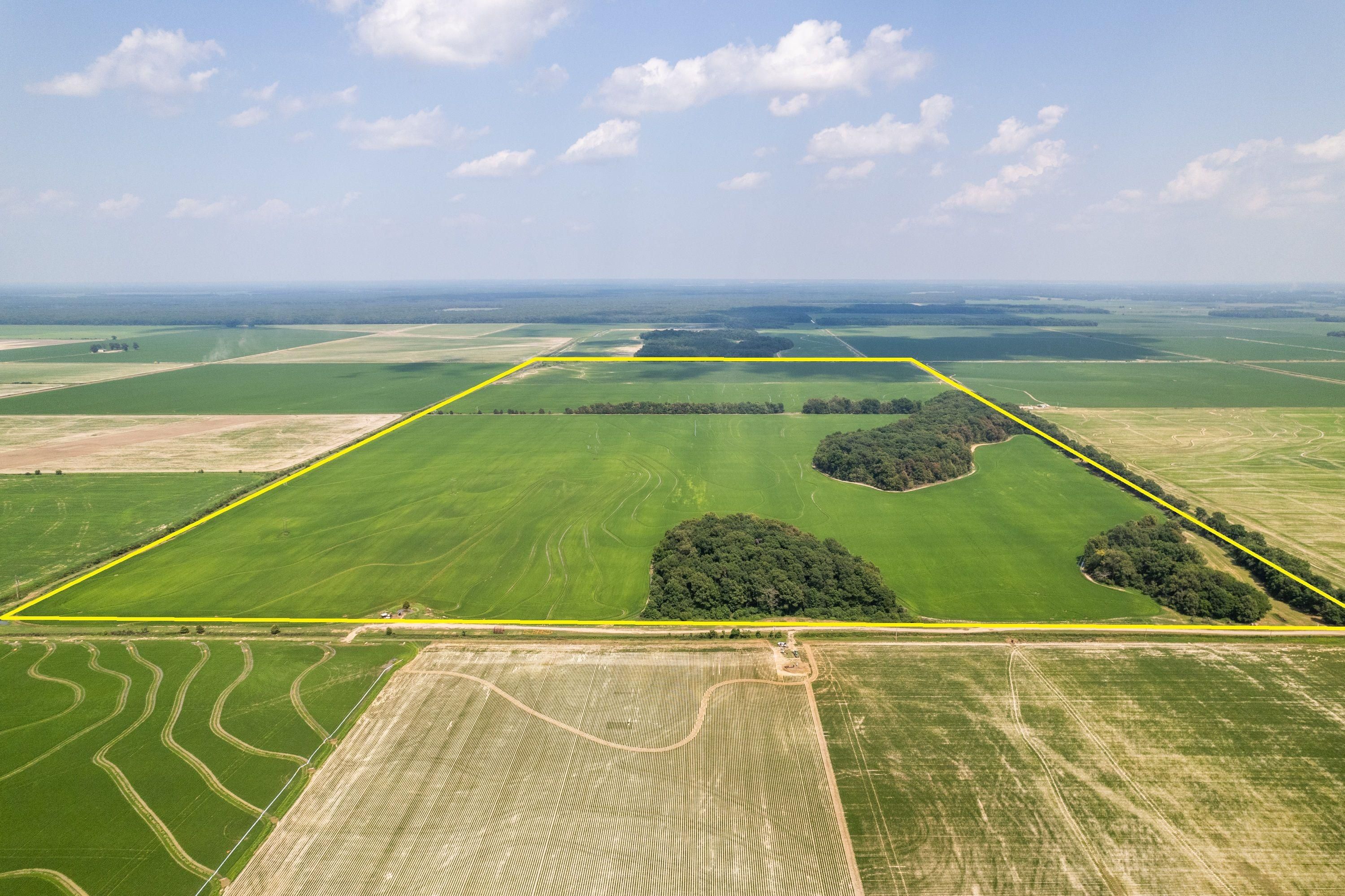 Palestine, Saint Francis County, AR Farms and Ranches for auction