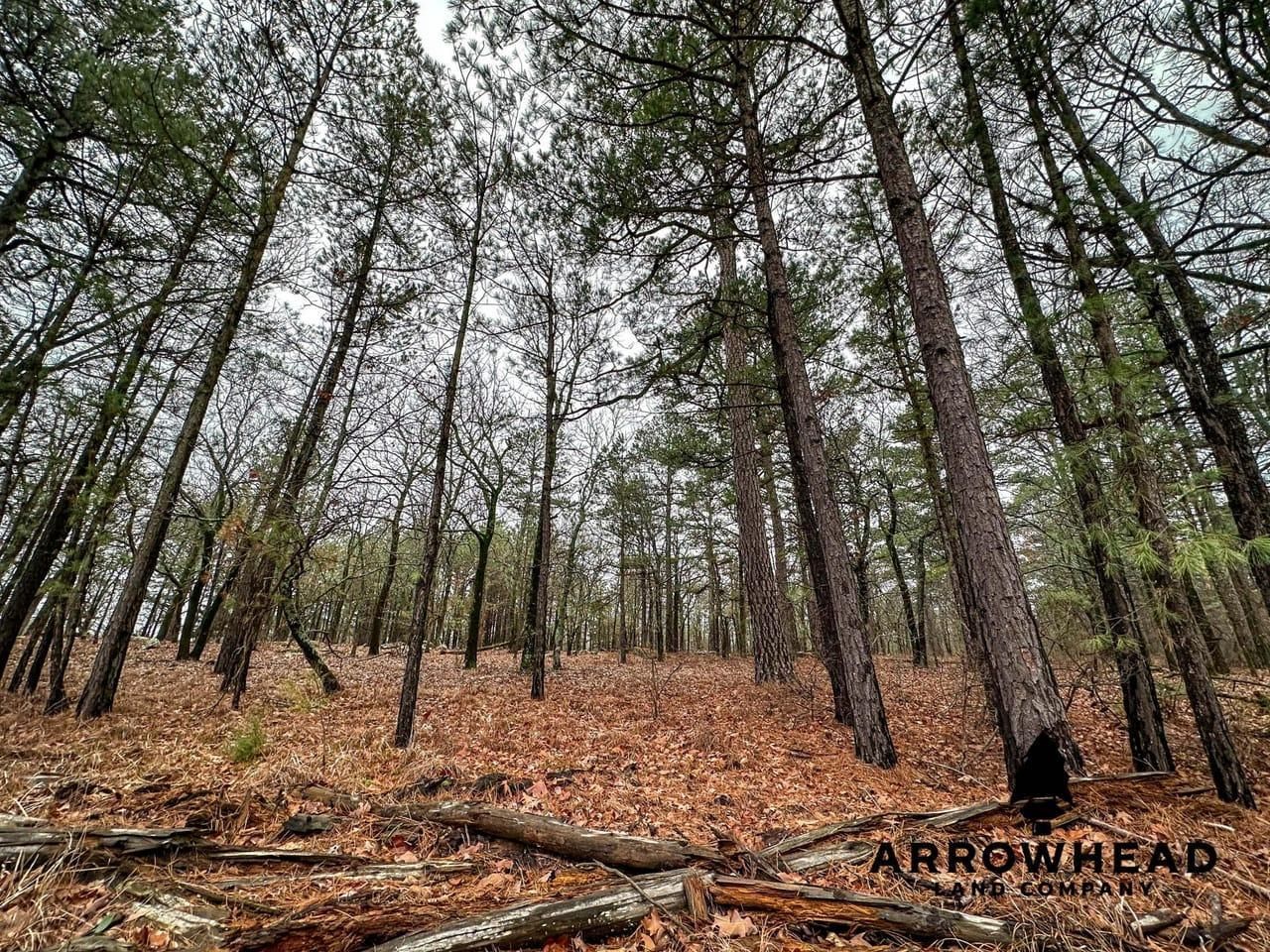 Hartshorne, Pittsburg County, OK Recreational Property, Timberland