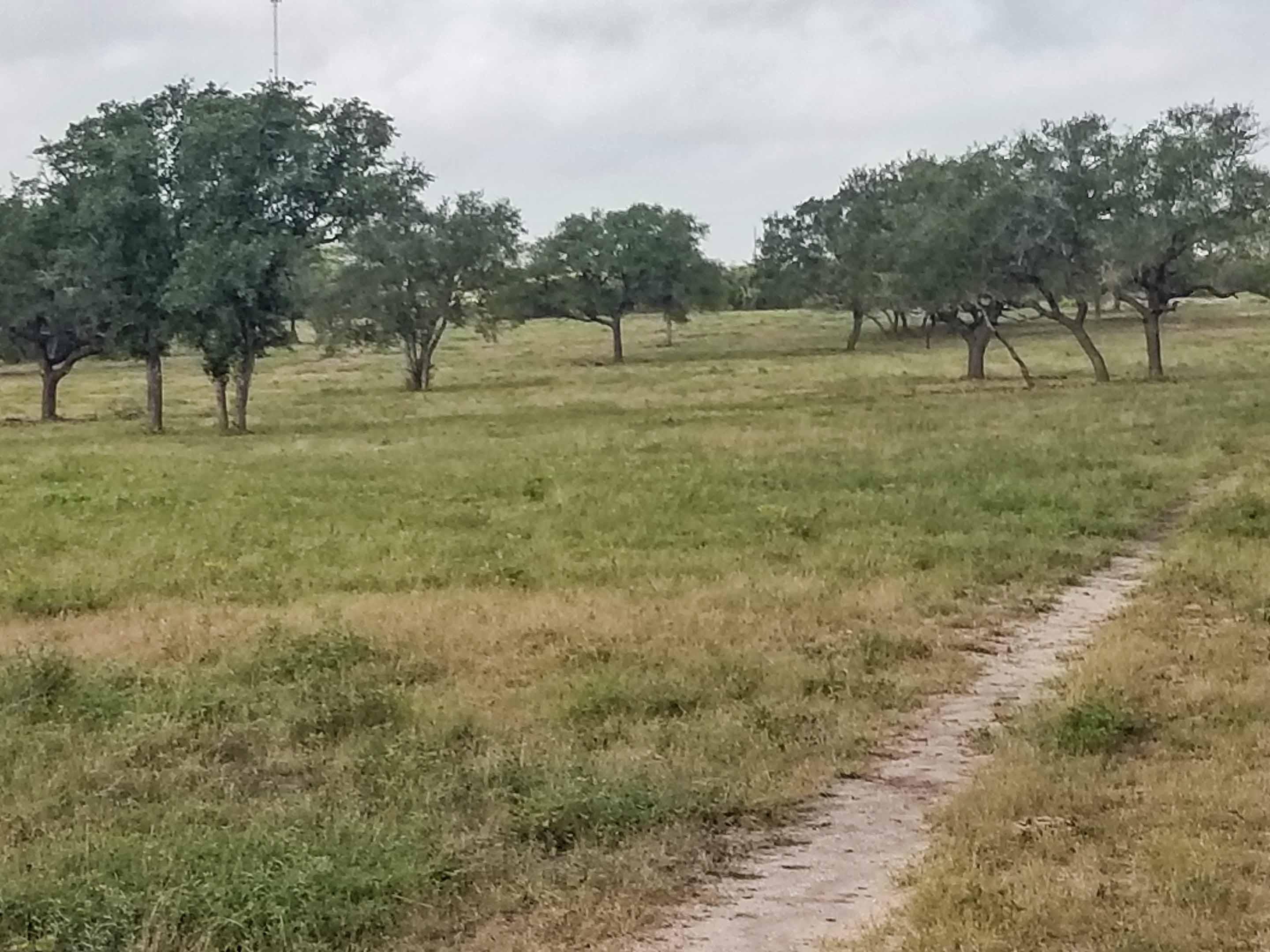 Beeville, Bee County, TX Farms and Ranches for sale Property ID