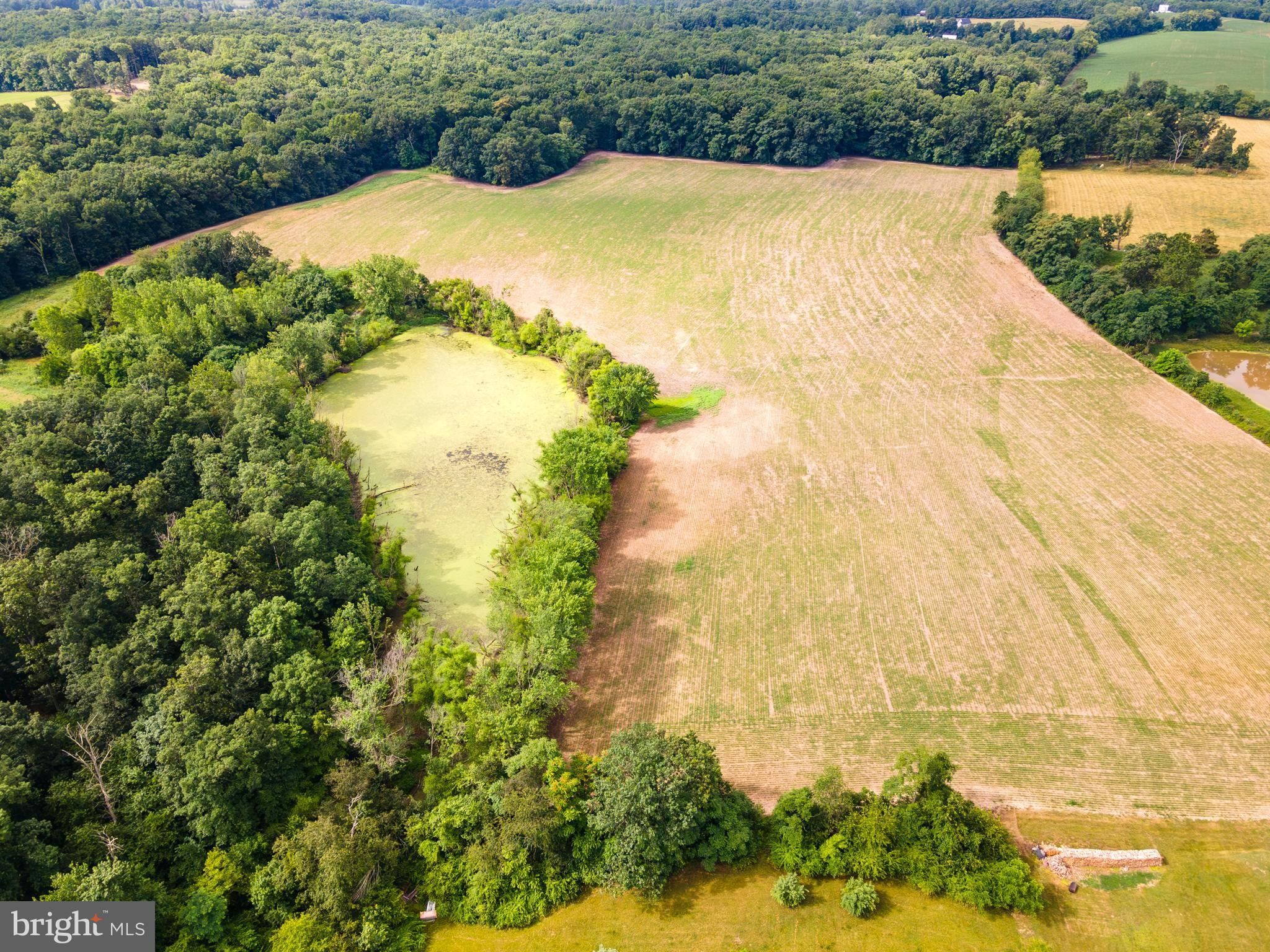 Edinburg, Shenandoah County, VA Farms and Ranches, House for sale