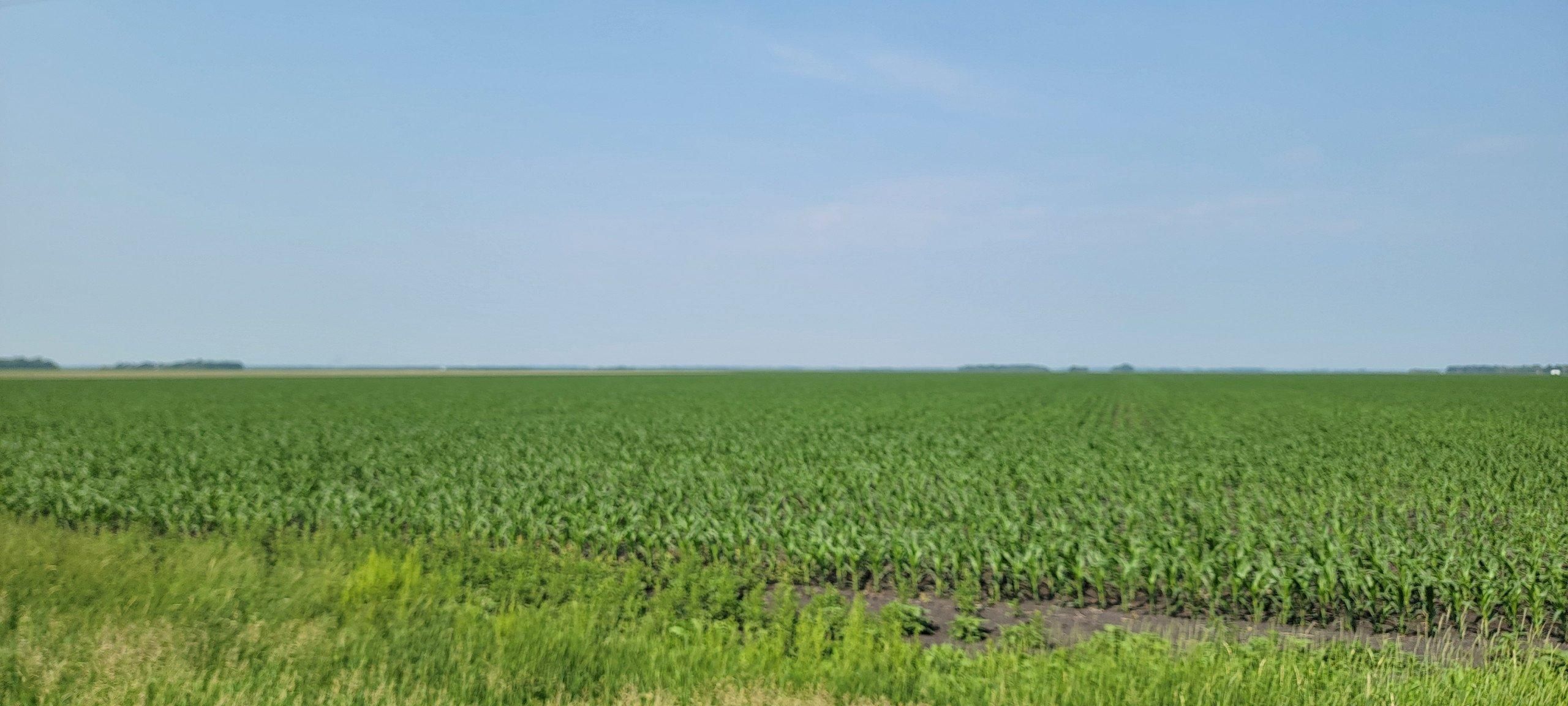 Mayville, Traill County, ND Farms and Ranches for sale Property ID