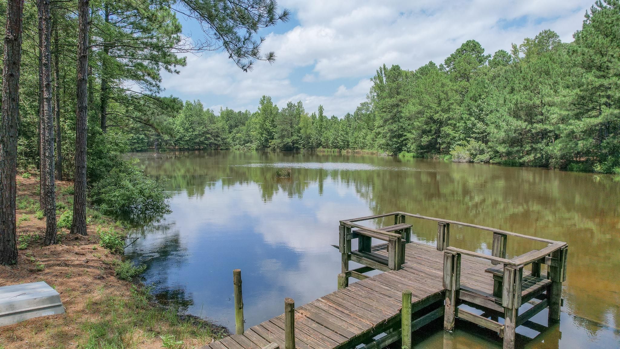 TBD HWY 77, Douglassville, TX 75560 MLS Wooded Hunting Property with