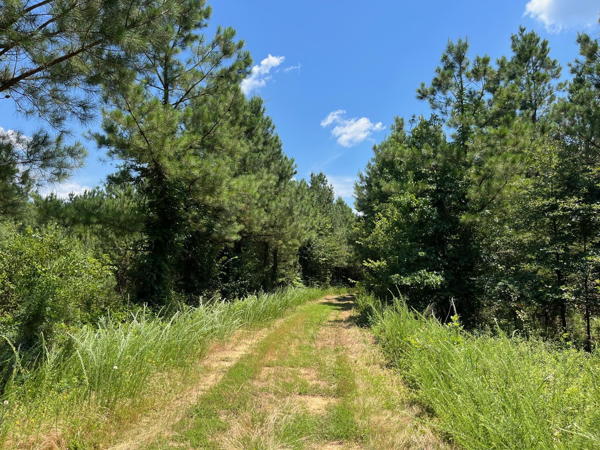 Rehoboth Church Rd, Jackson, NC 27845 LandWatch