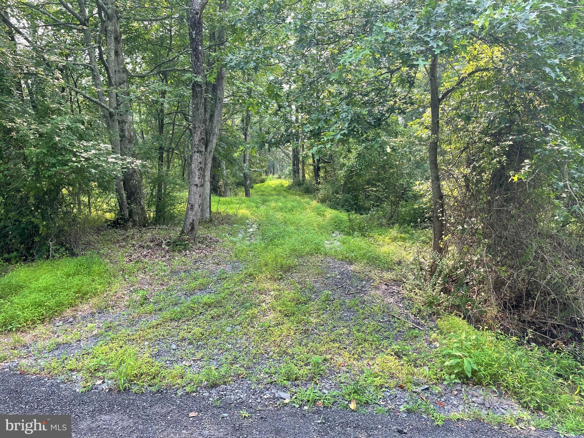 Upper Black Eddy, Bucks County, PA Undeveloped Land, Homesites for sale
