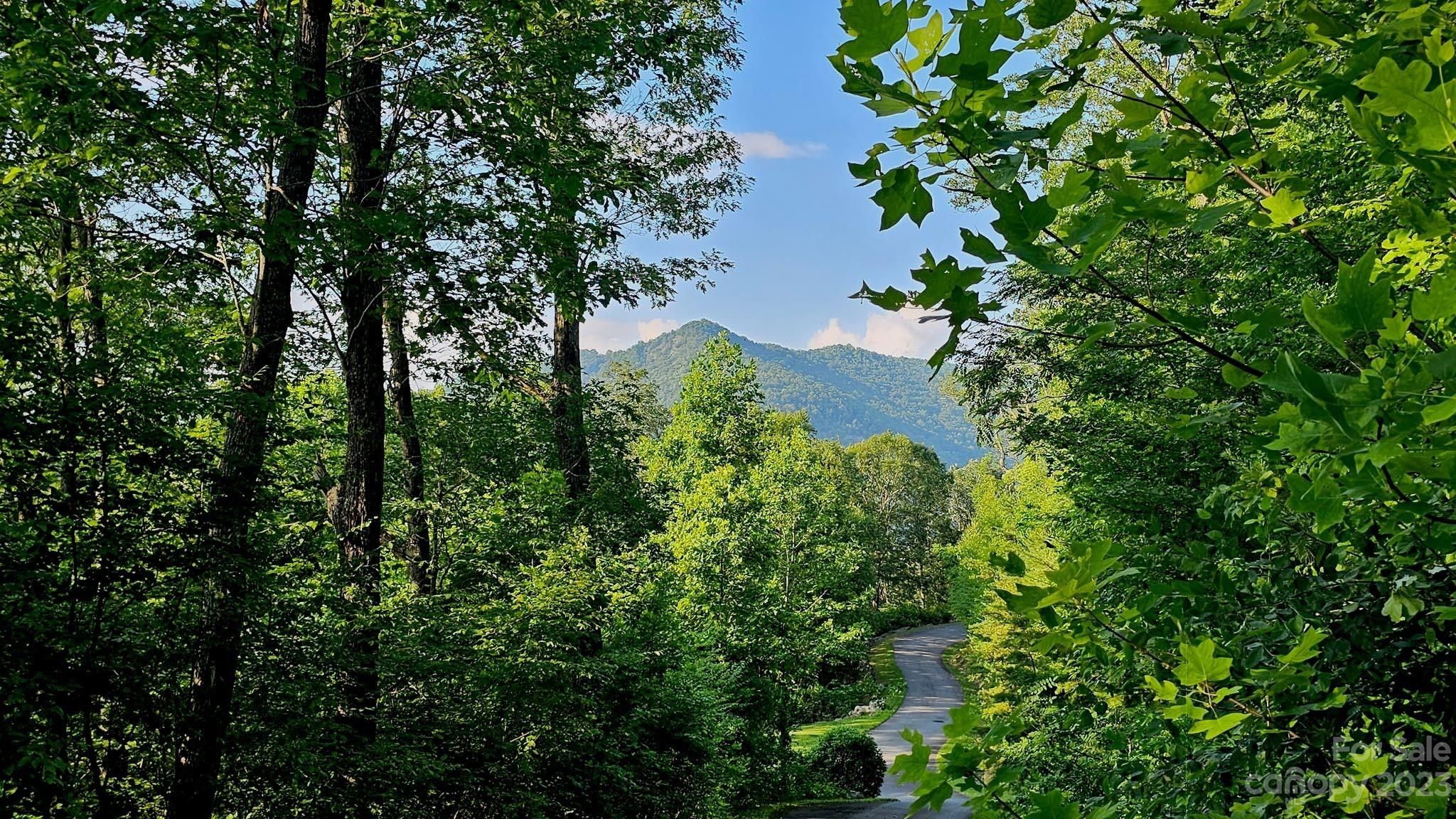 Asheville, County, NC Undeveloped Land, Homesites for sale