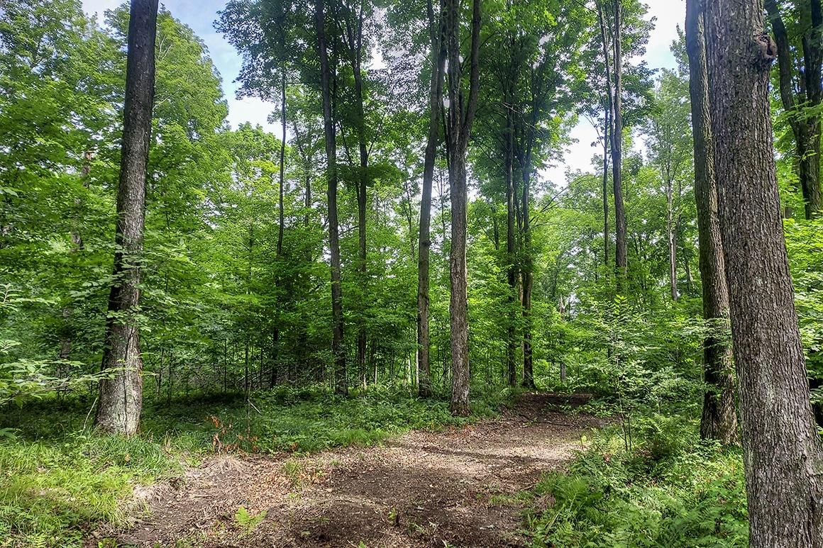 Crandon, Forest County, WI Recreational Property, Hunting Property