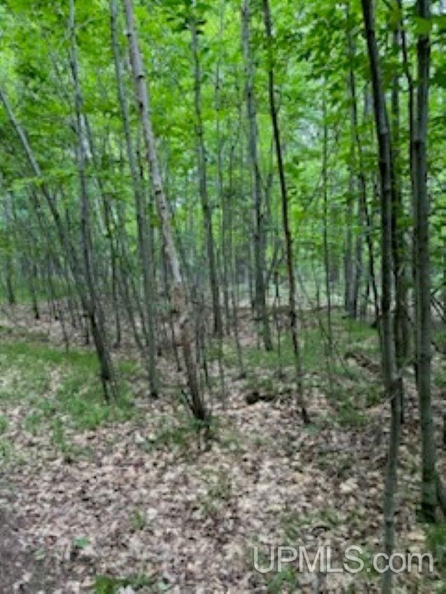 Niagara, County, WI Undeveloped Land, Lakefront Property