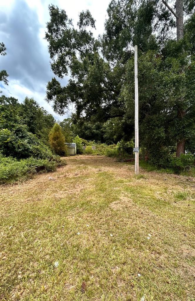 1941 Mora Rd, Willacoochee, GA 31650 MLS 112062 LandWatch