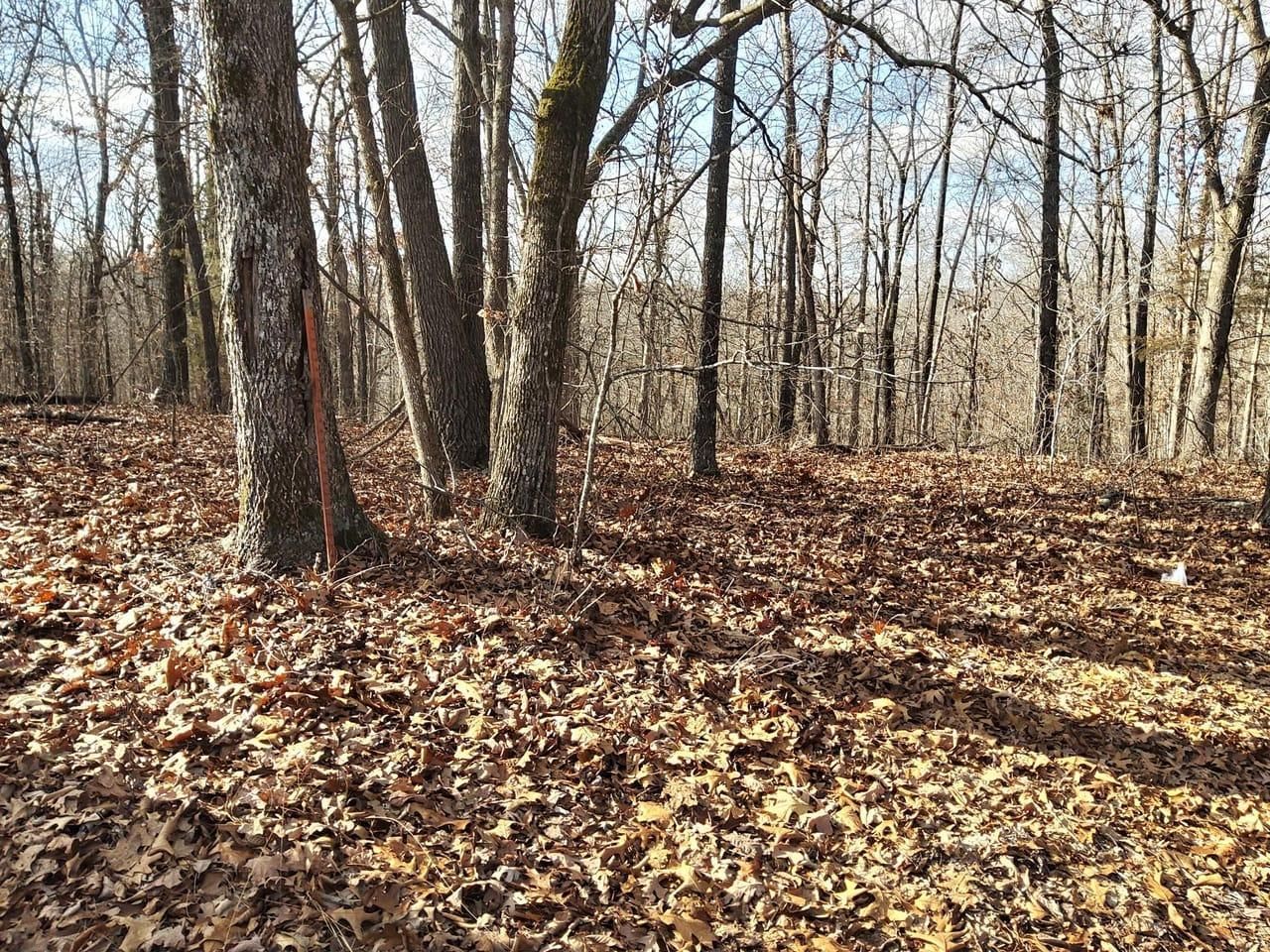 Bergman, Boone County, AR Recreational Property, Undeveloped Land