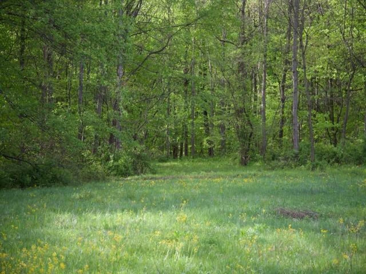 Poland, Owen County, IN Farms and Ranches, Hunting Property, House for sale Property ID