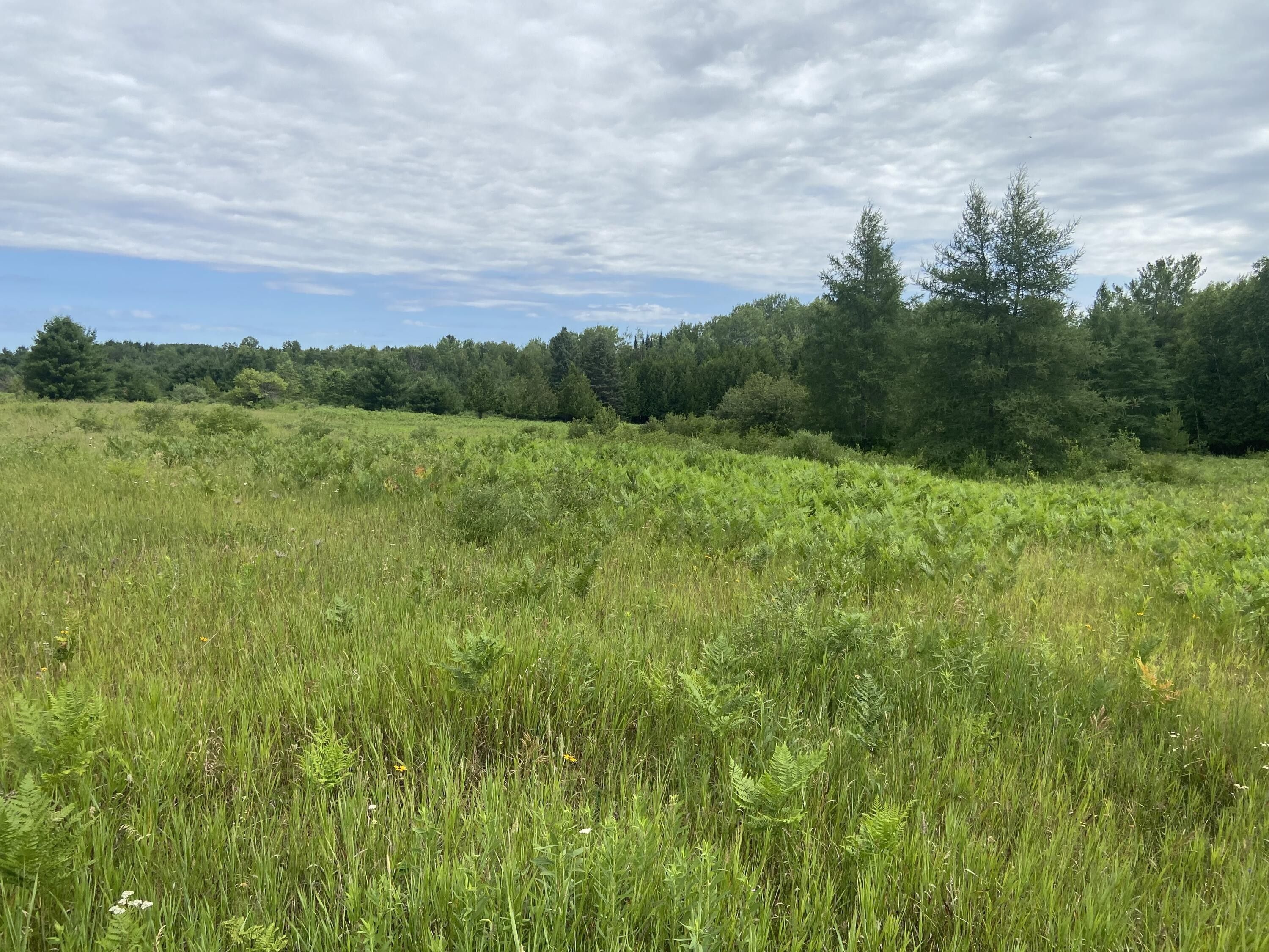 Millersburg, Presque Isle County, MI Undeveloped Land for sale Property