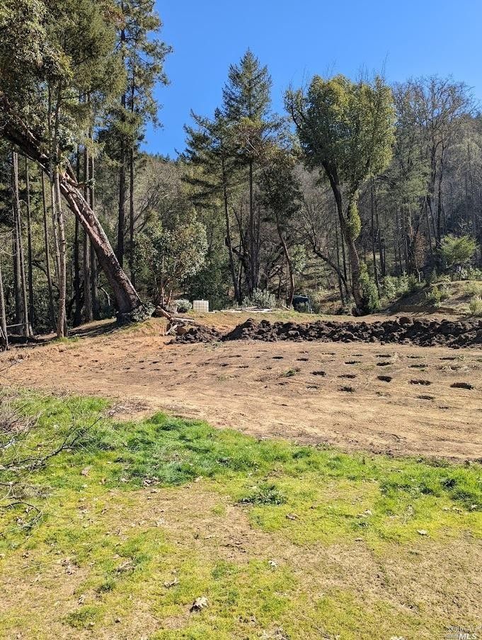 Potter Valley, Mendocino County, CA Undeveloped Land for sale Property