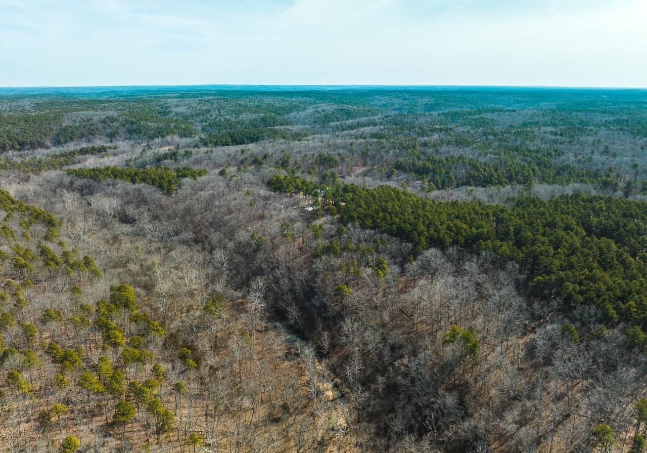 Roby, Texas County, MO Farms and Ranches, Recreational Property