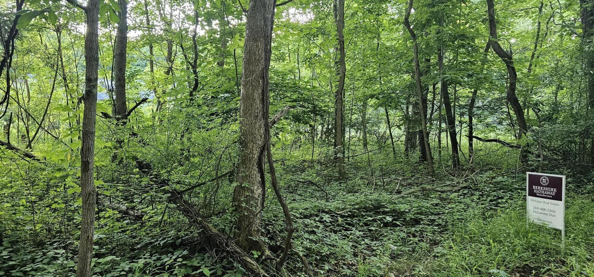 Grand Junction, Van Buren County, MI Farms and Ranches for sale