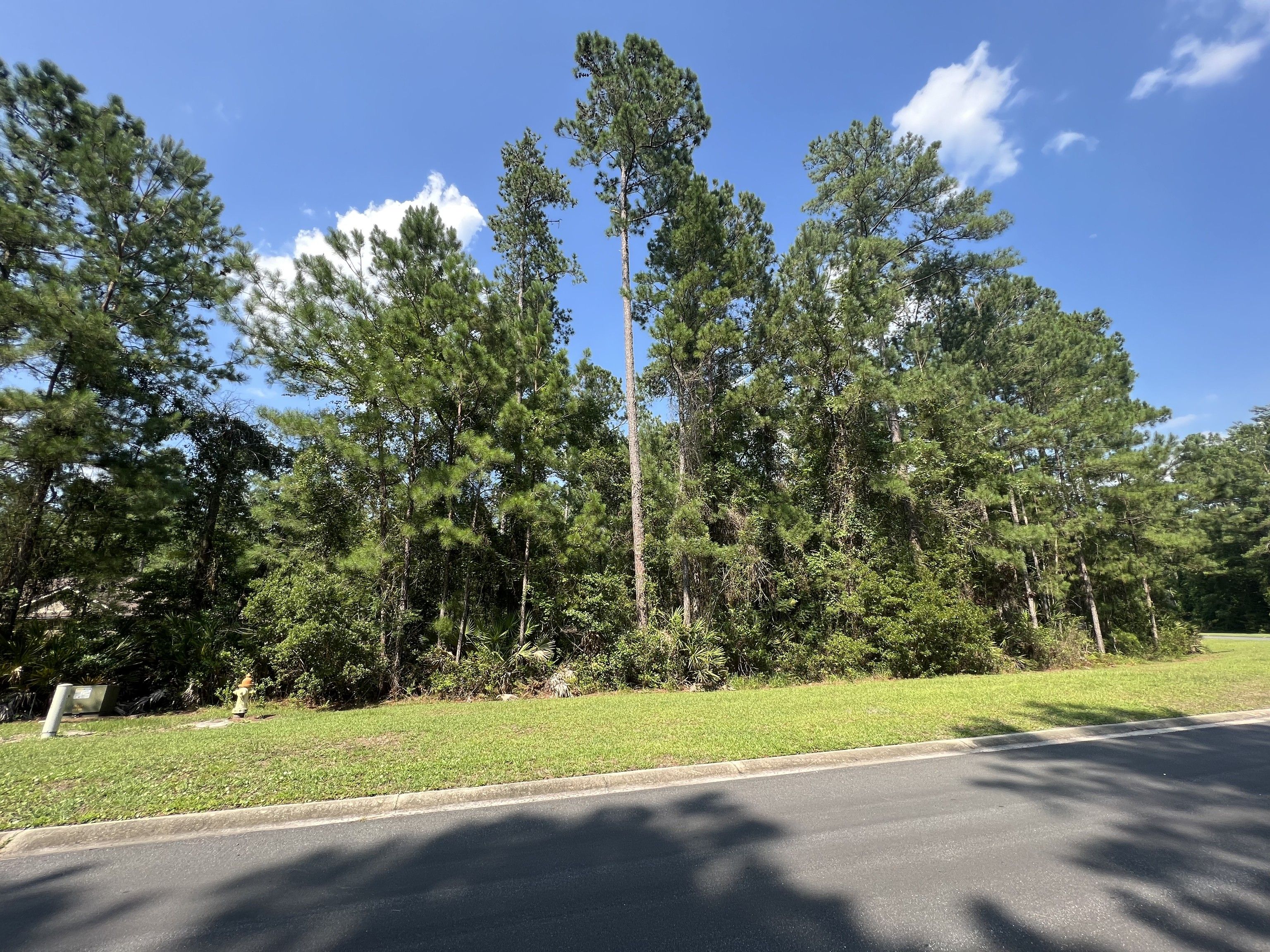 Woodbine, Camden County, GA Farms and Ranches, Homesites for sale Property ID 417025721 LandWatch