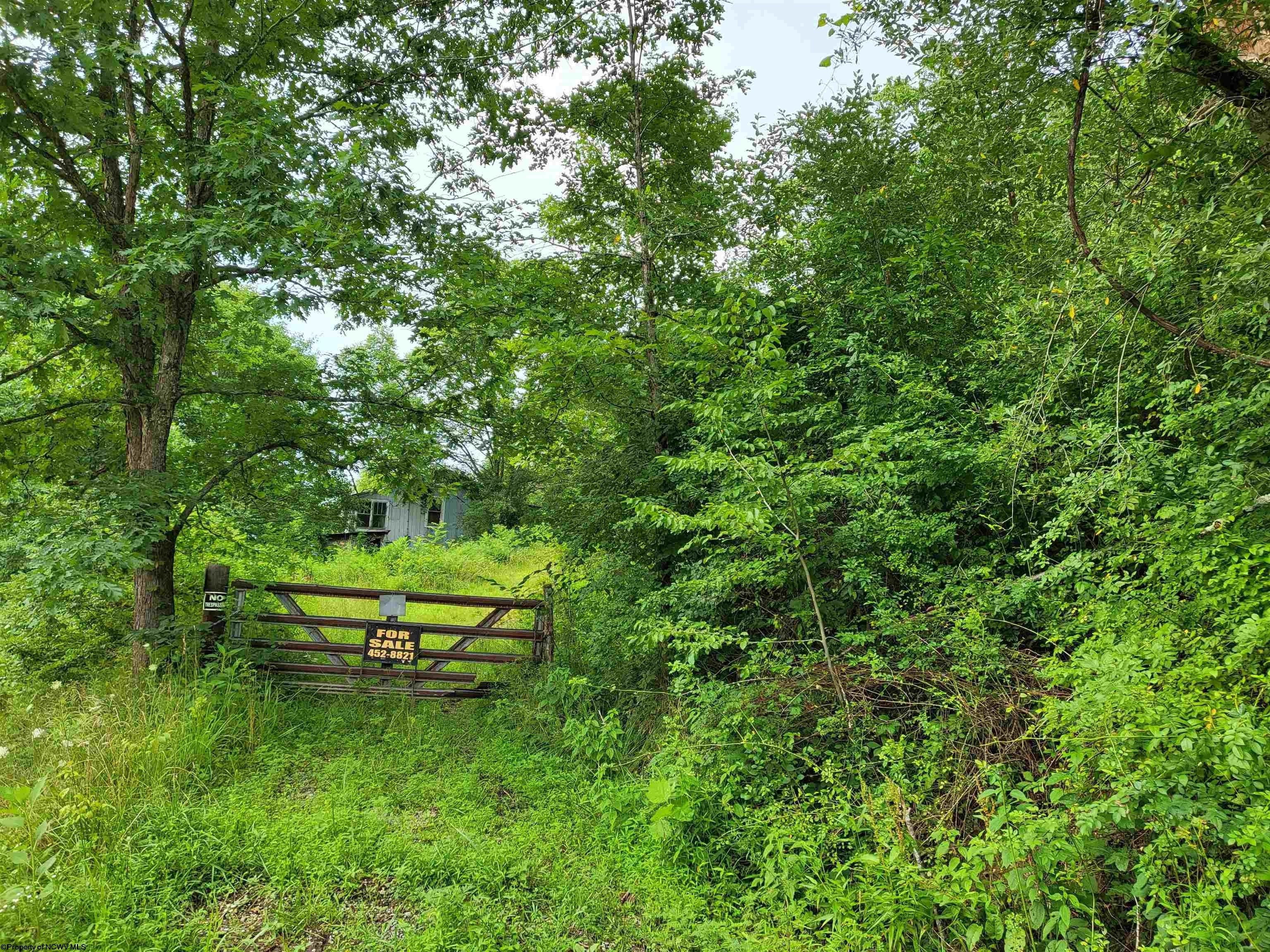 Heaters, Braxton County, WV Farms and Ranches for sale Property ID