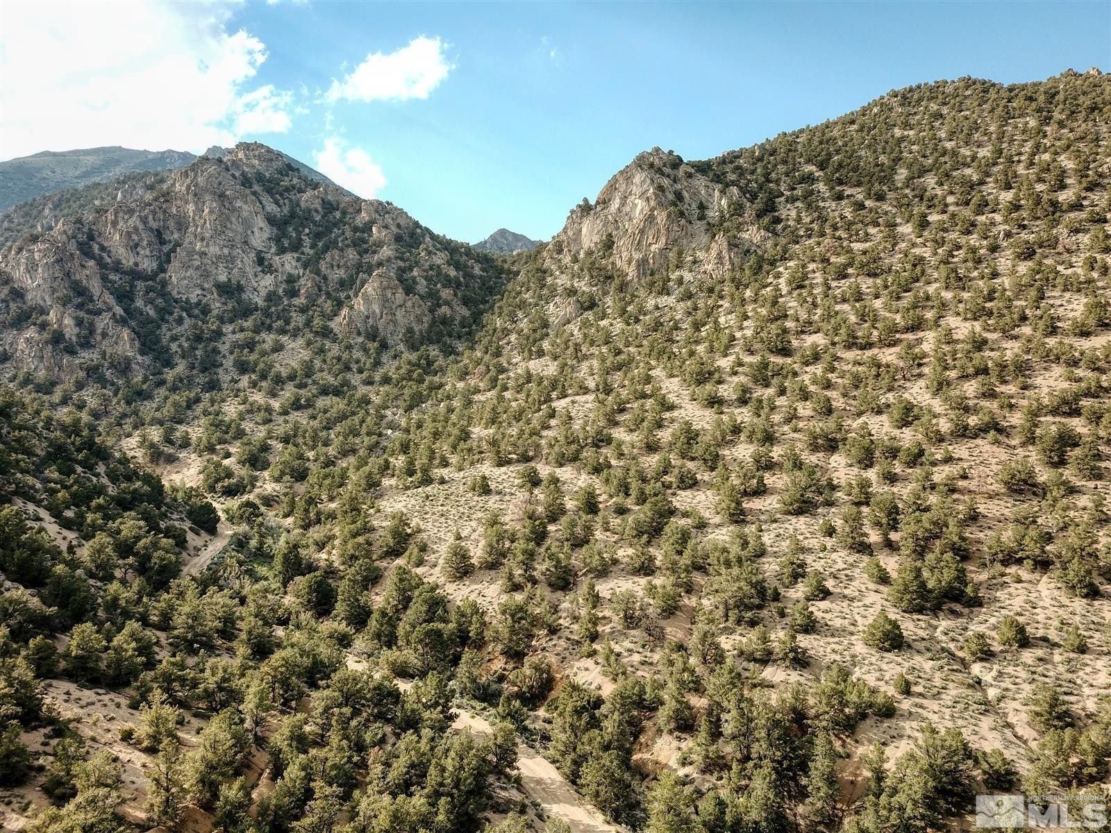 Hawthorne, Mineral County, NV Farms and Ranches for sale Property ID