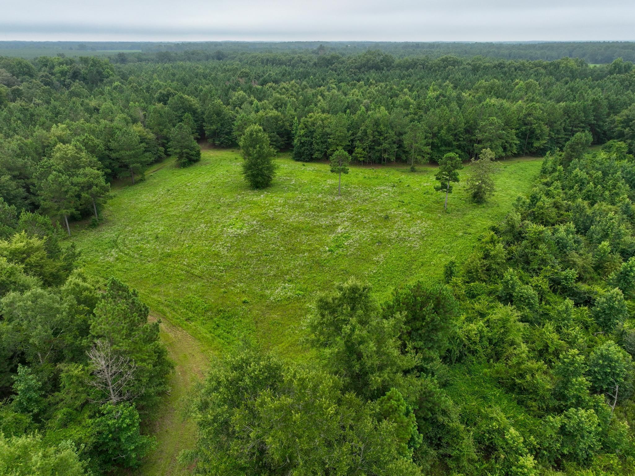 Elko, Houston County, GA Farms and Ranches, Recreational Property