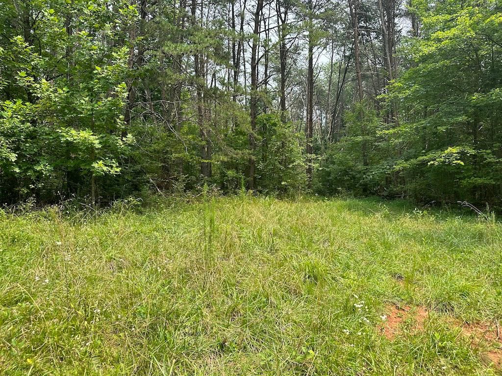 Martinsville, Henry County, VA Recreational Property, Undeveloped Land