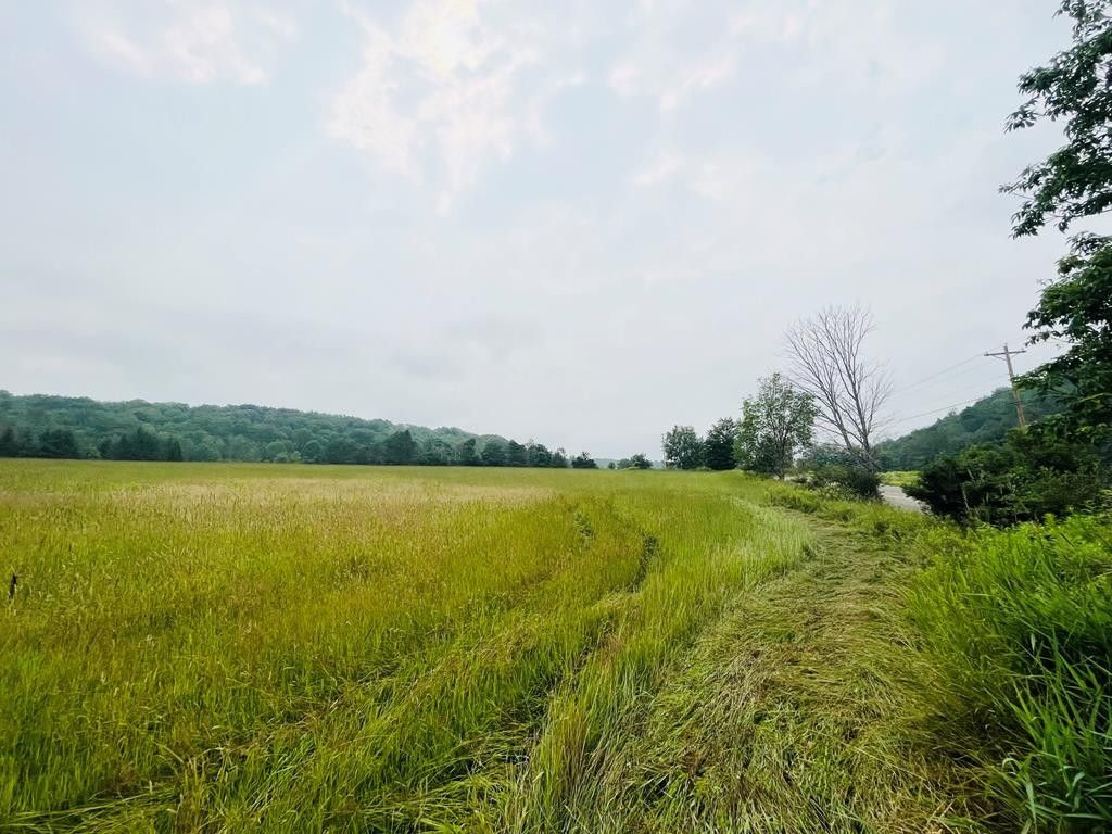 Columbia Cross Roads, Bradford County, PA Farms and Ranches, Homesites
