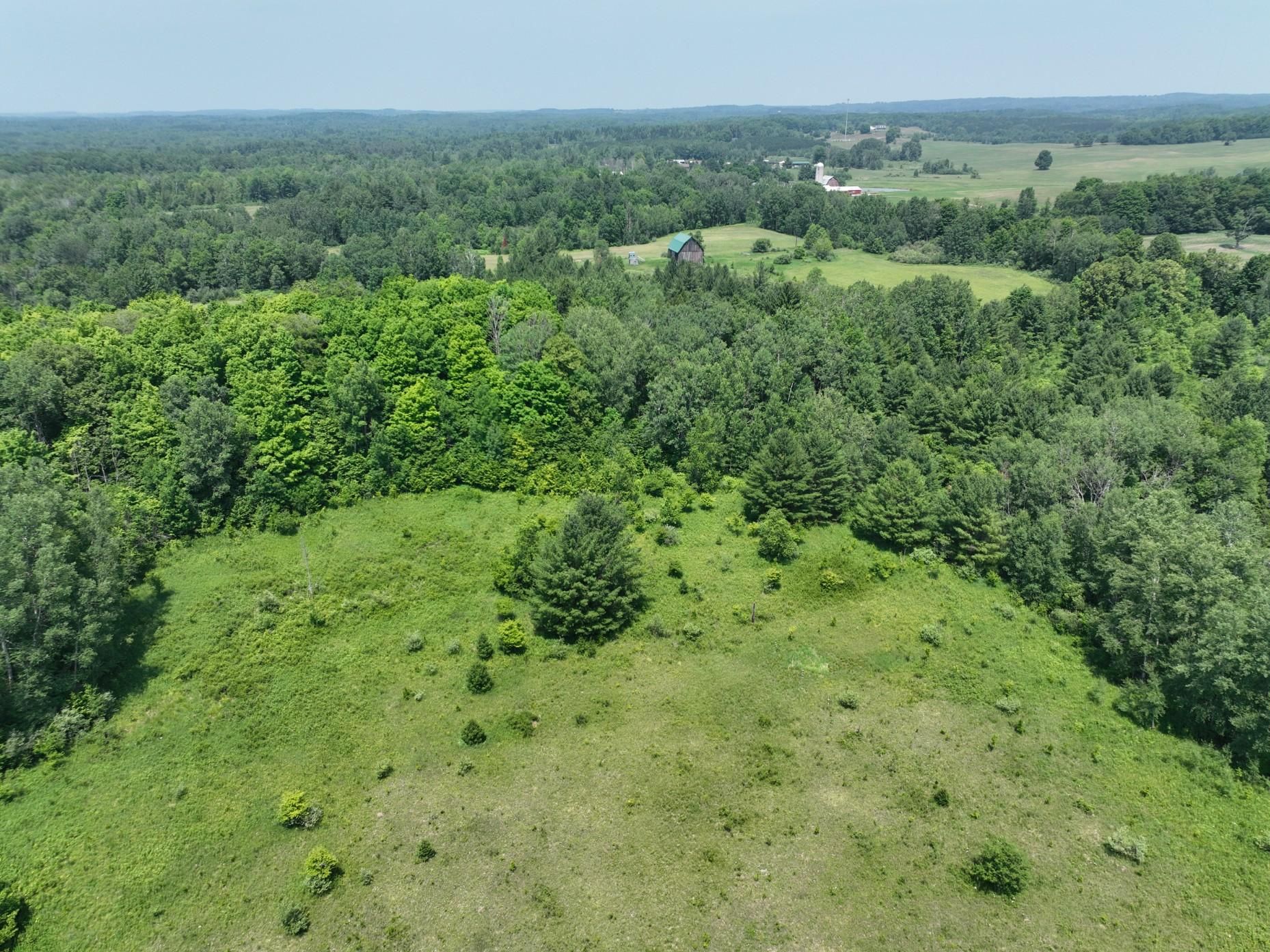 Tustin, Osceola County, MI Recreational Property, Timberland Property