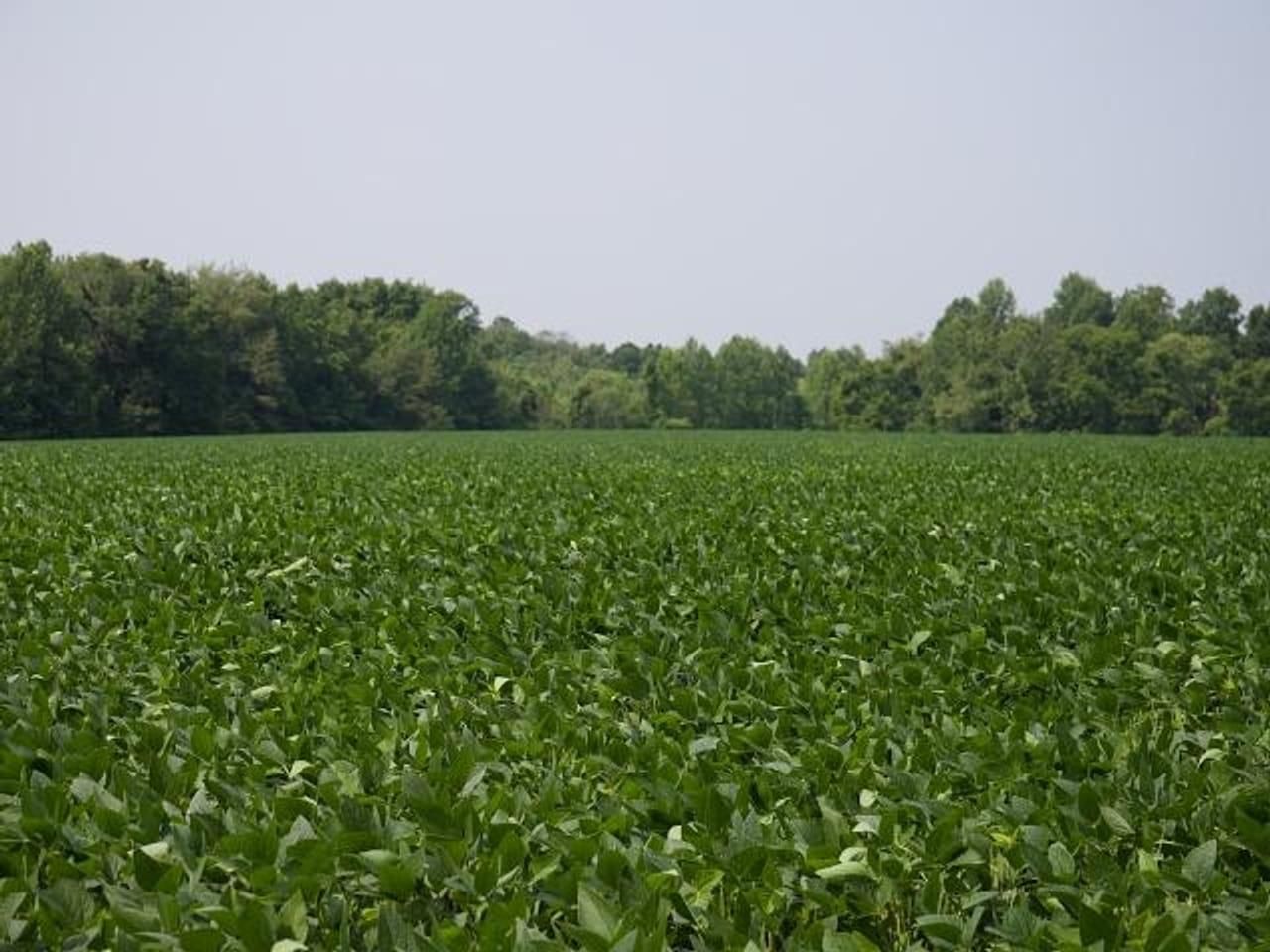 Brazil, Parke County, IN Farms and Ranches, Recreational Property