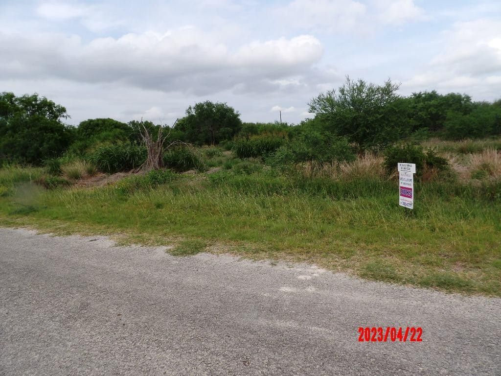 Beeville, Bee County, TX Farms and Ranches, Homesites for sale Property