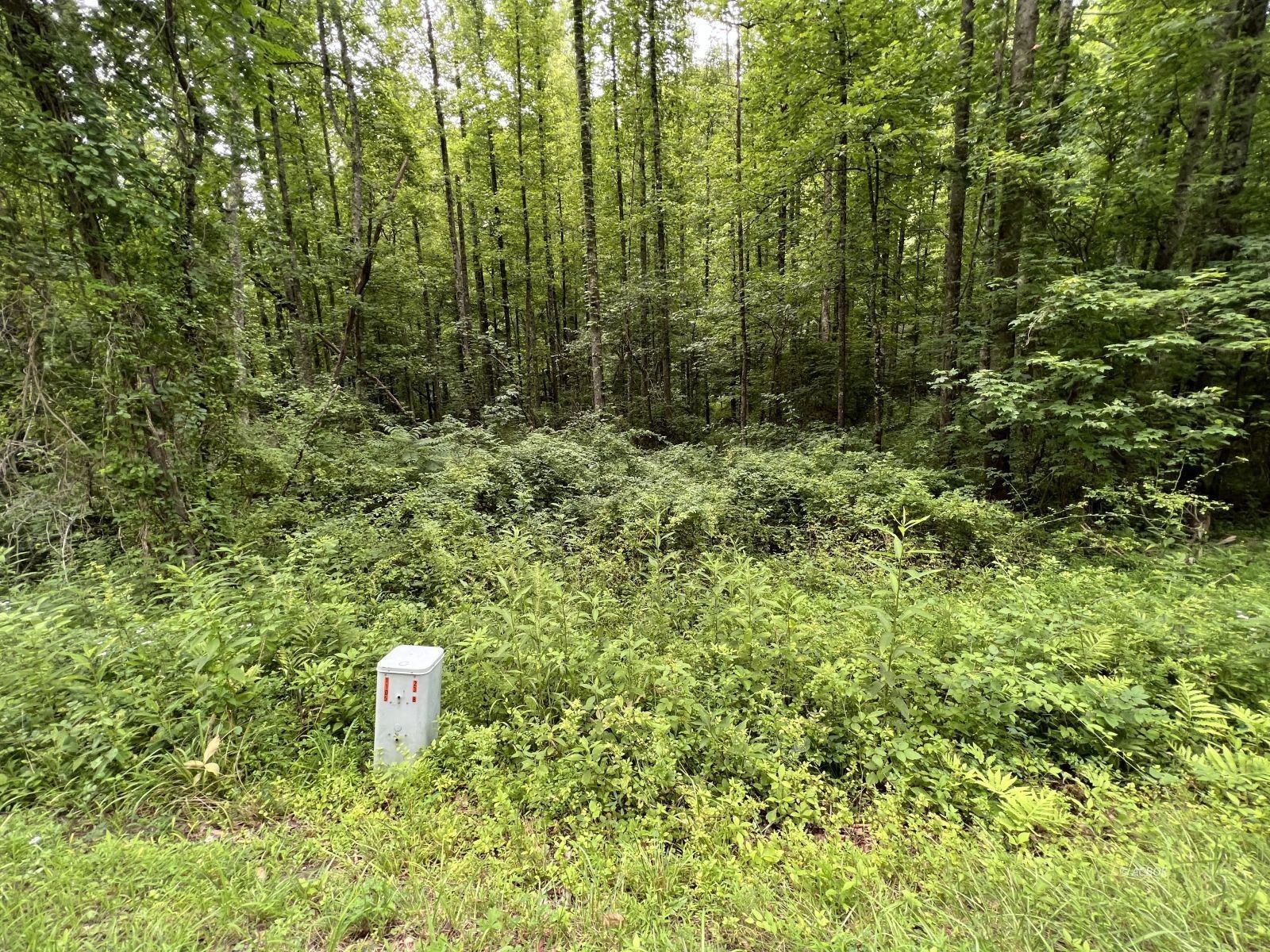 Portland, Meigs County, OH Undeveloped Land for sale Property ID