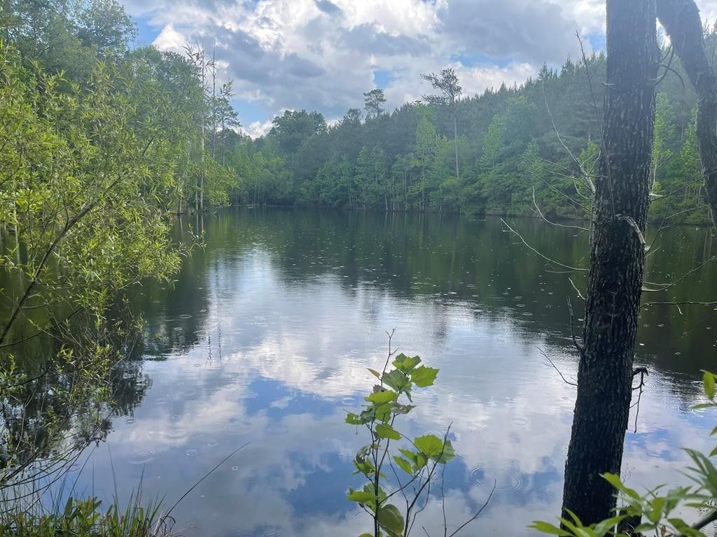 Midway, Barbour County, AL Undeveloped Land for sale Property ID