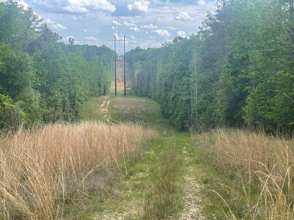 Midway, Barbour County, AL Undeveloped Land for sale Property ID