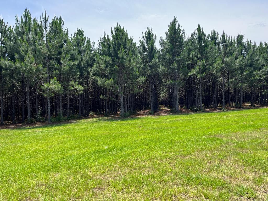 00 Whiddon Mill Rd, Tifton, GA 31794 MLS 135128 LandWatch