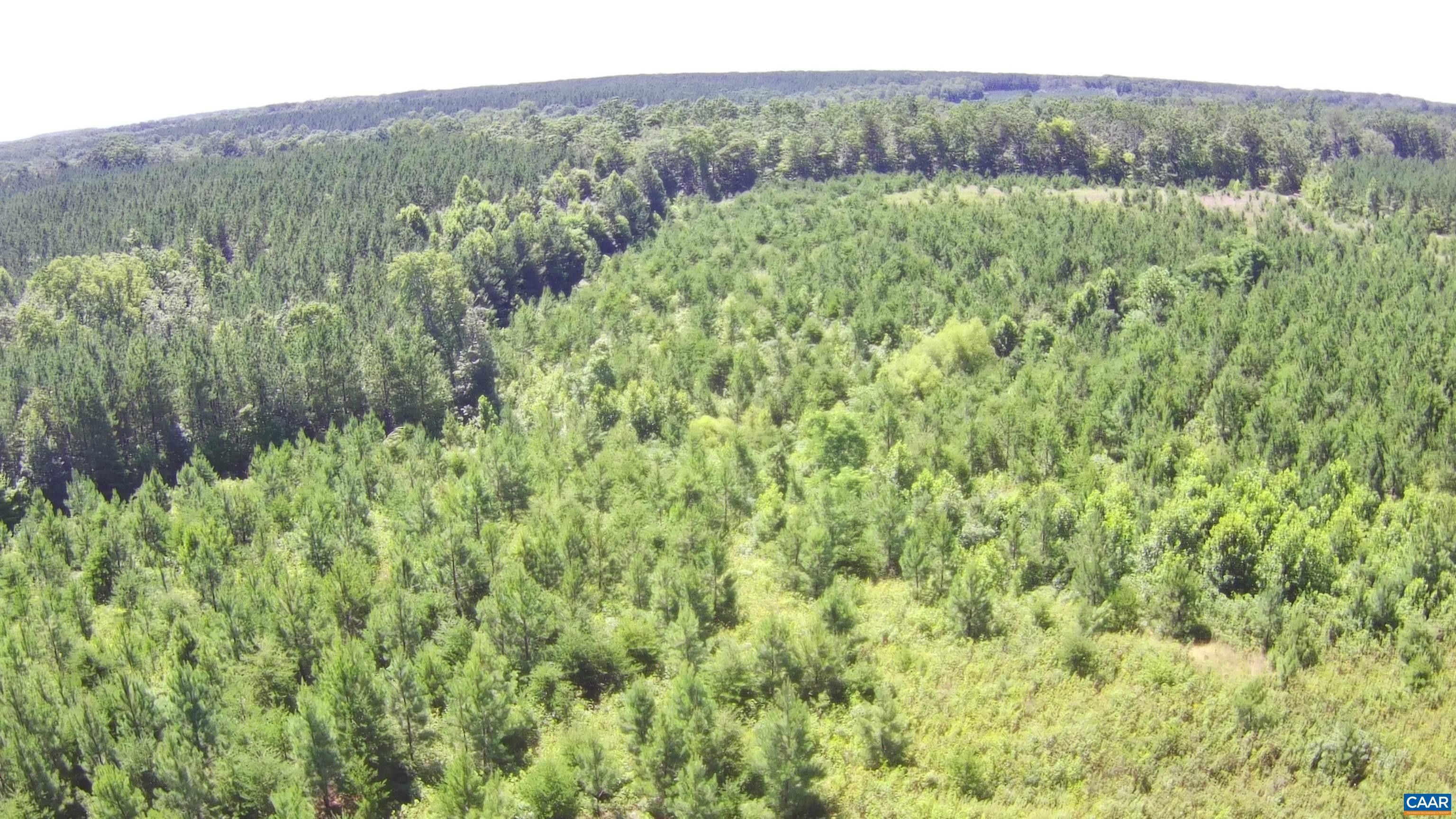 Buckingham, Buckingham County, VA Farms and Ranches for sale Property