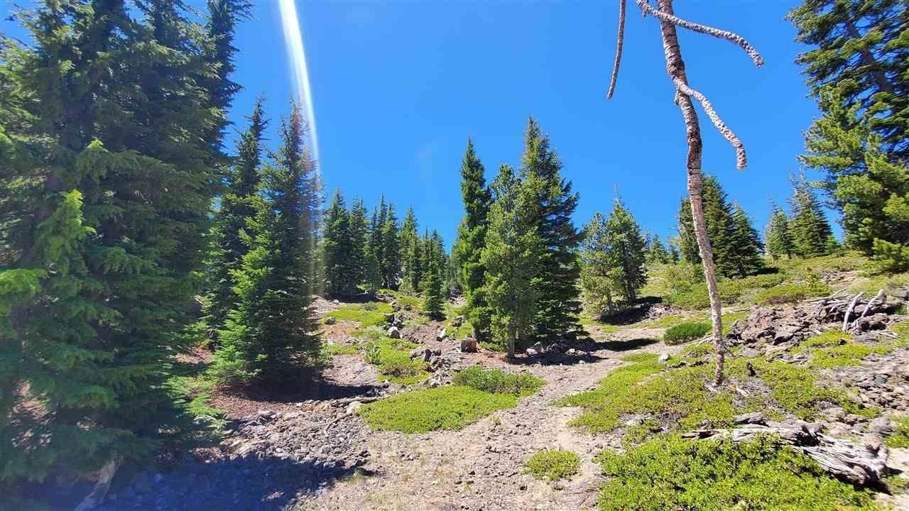 Macdoel, Siskiyou County, CA Undeveloped Land for sale Property ID
