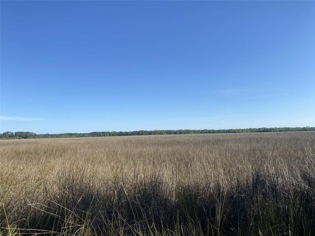 Brunswick, Glynn County, GA Undeveloped Land, Lakefront Property