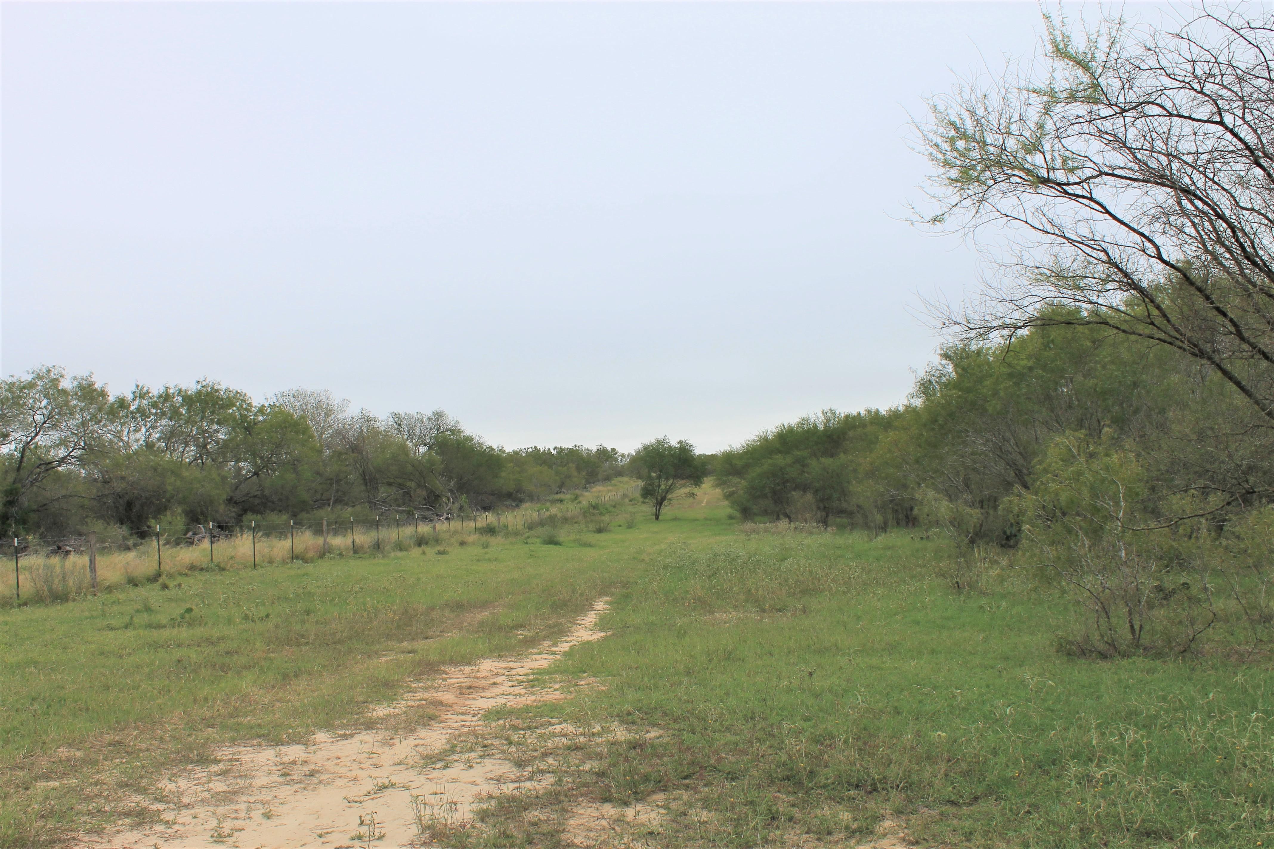County Road 414, Mccoy, TX 78113 MLS 1704610 LandWatch