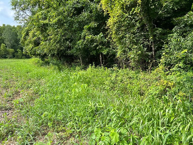 Wabash, Wabash County, IN Recreational Property for sale Property ID