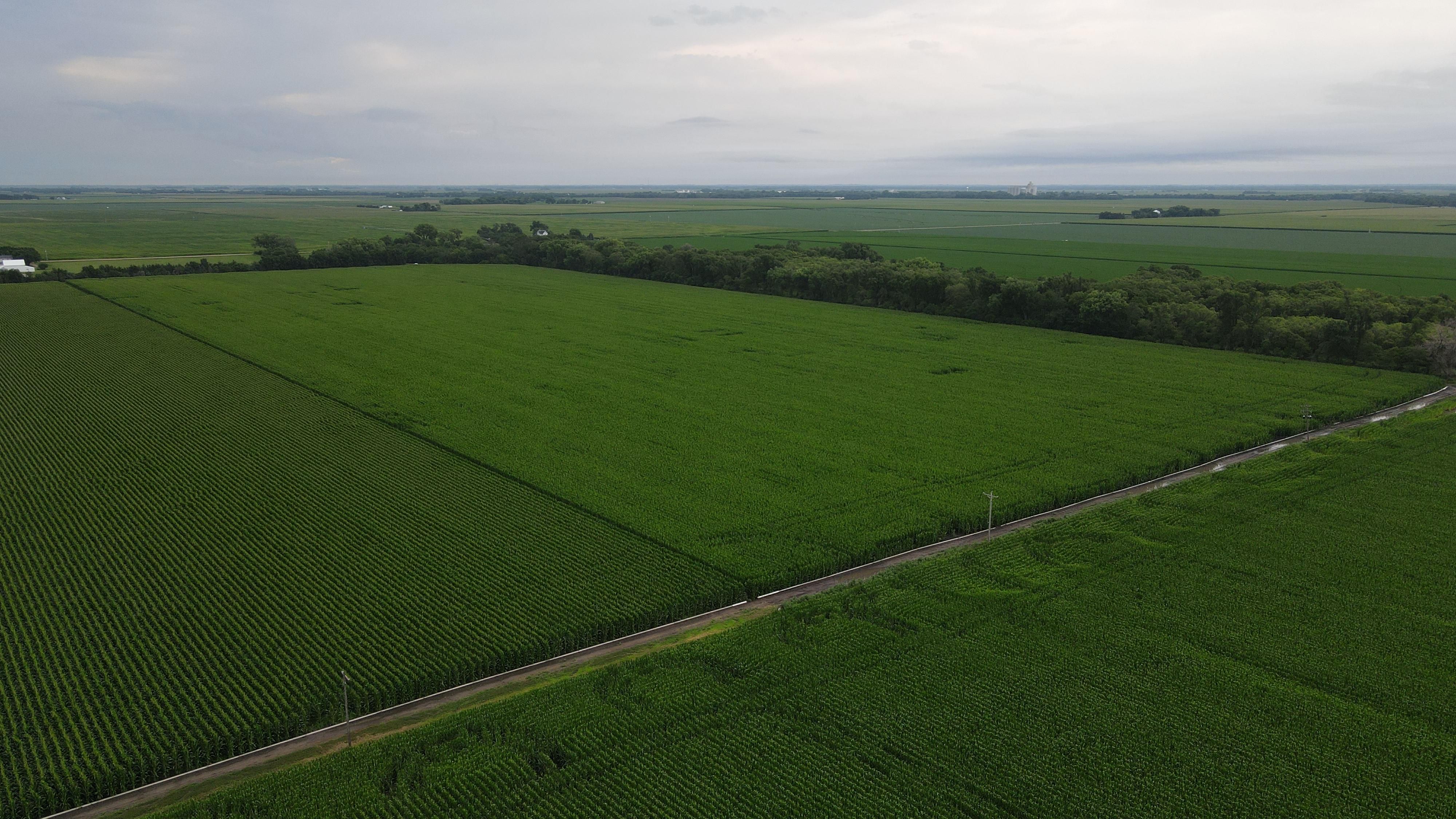 Gibbon, Buffalo County, NE Farms and Ranches for sale Property ID