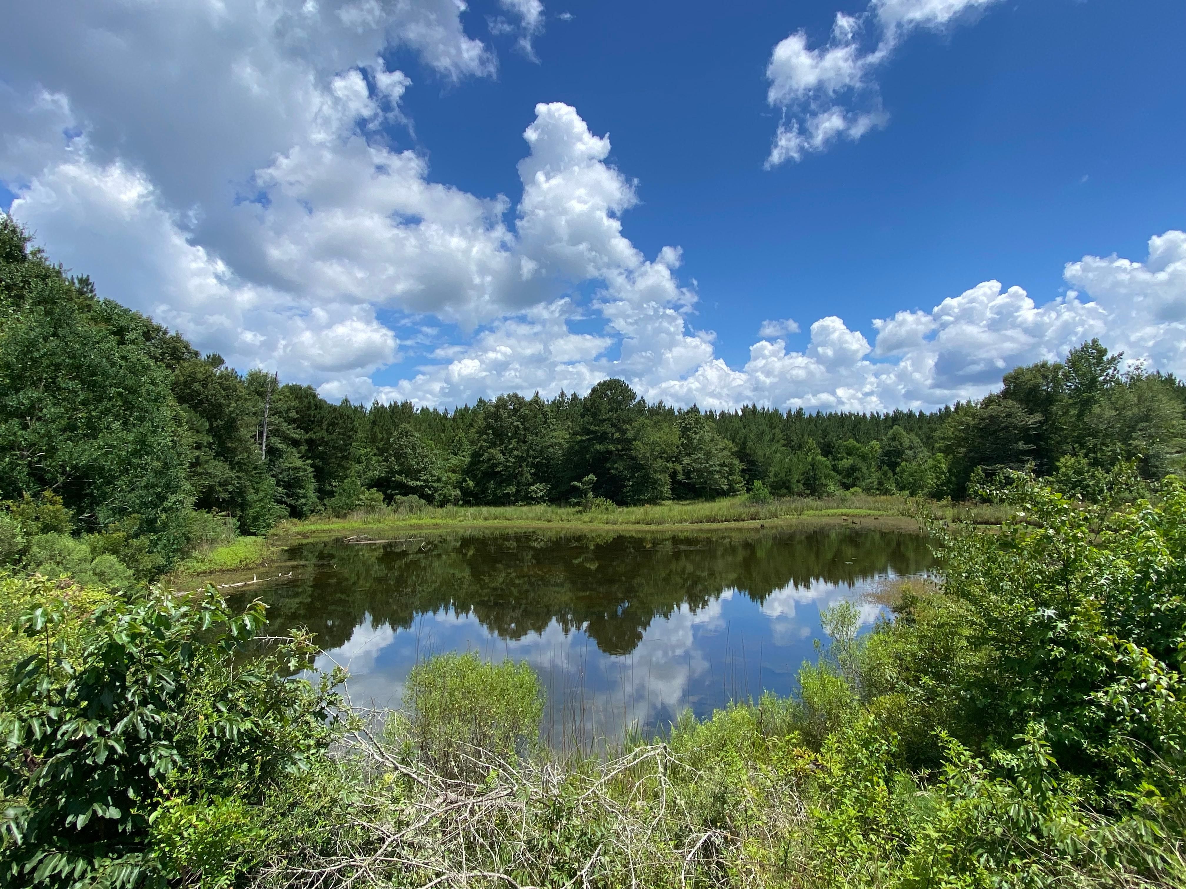 135.5 acres in Hazlehurst, MS, 39083 MLS 135CCDR LandWatch