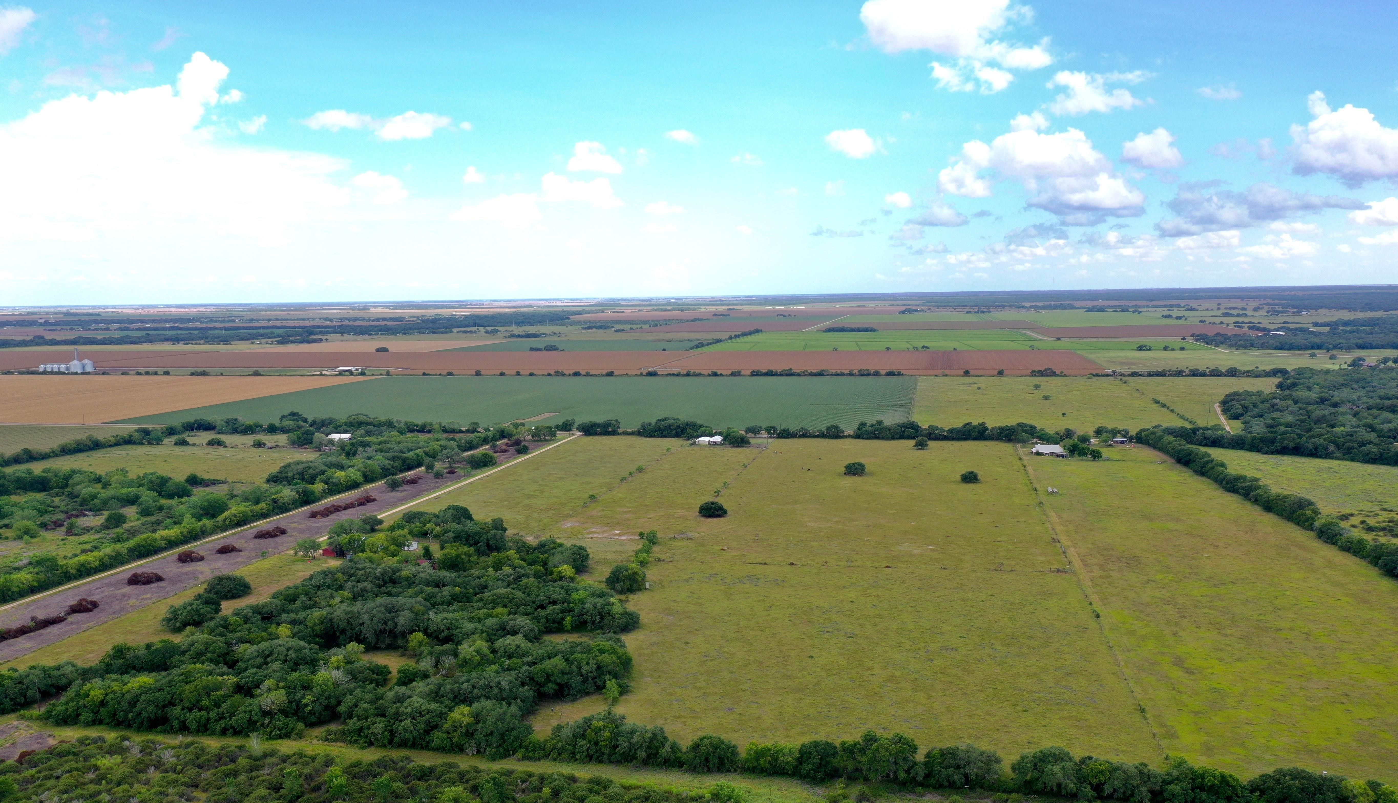Louise, Wharton County, TX Farms and Ranches, Hunting Property, Horse