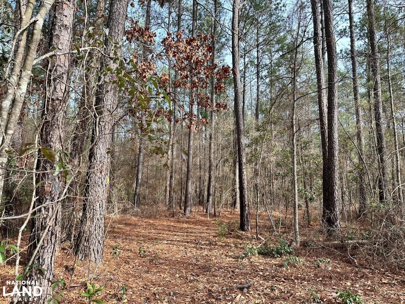 Alvin, Berkeley County, SC Recreational Property, Hunting Property for