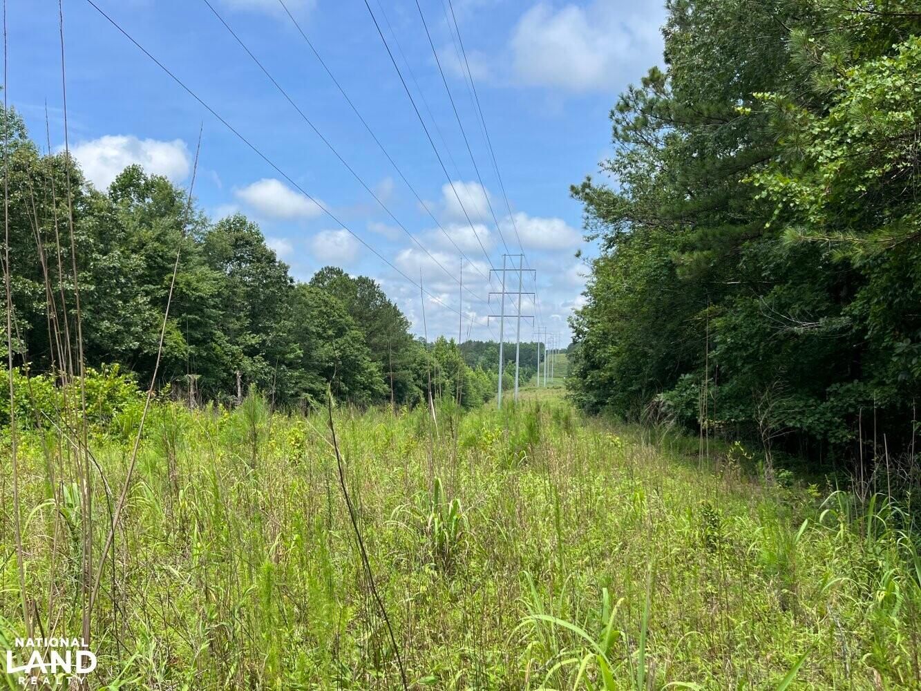 Shottsville, Marion County, AL Recreational Property, Timberland
