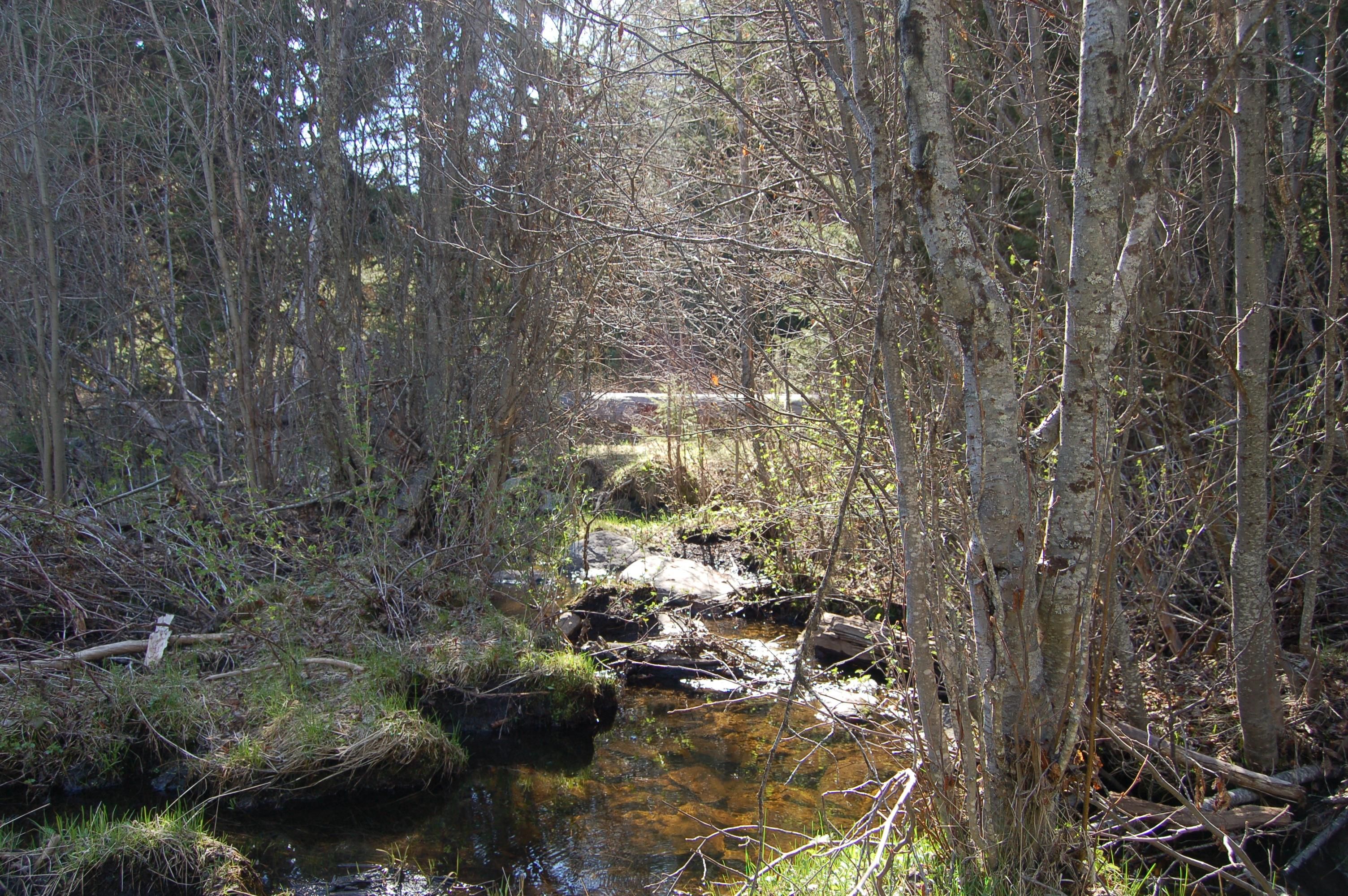 Tonasket, Okanogan County, WA Recreational Property, Horse Property for