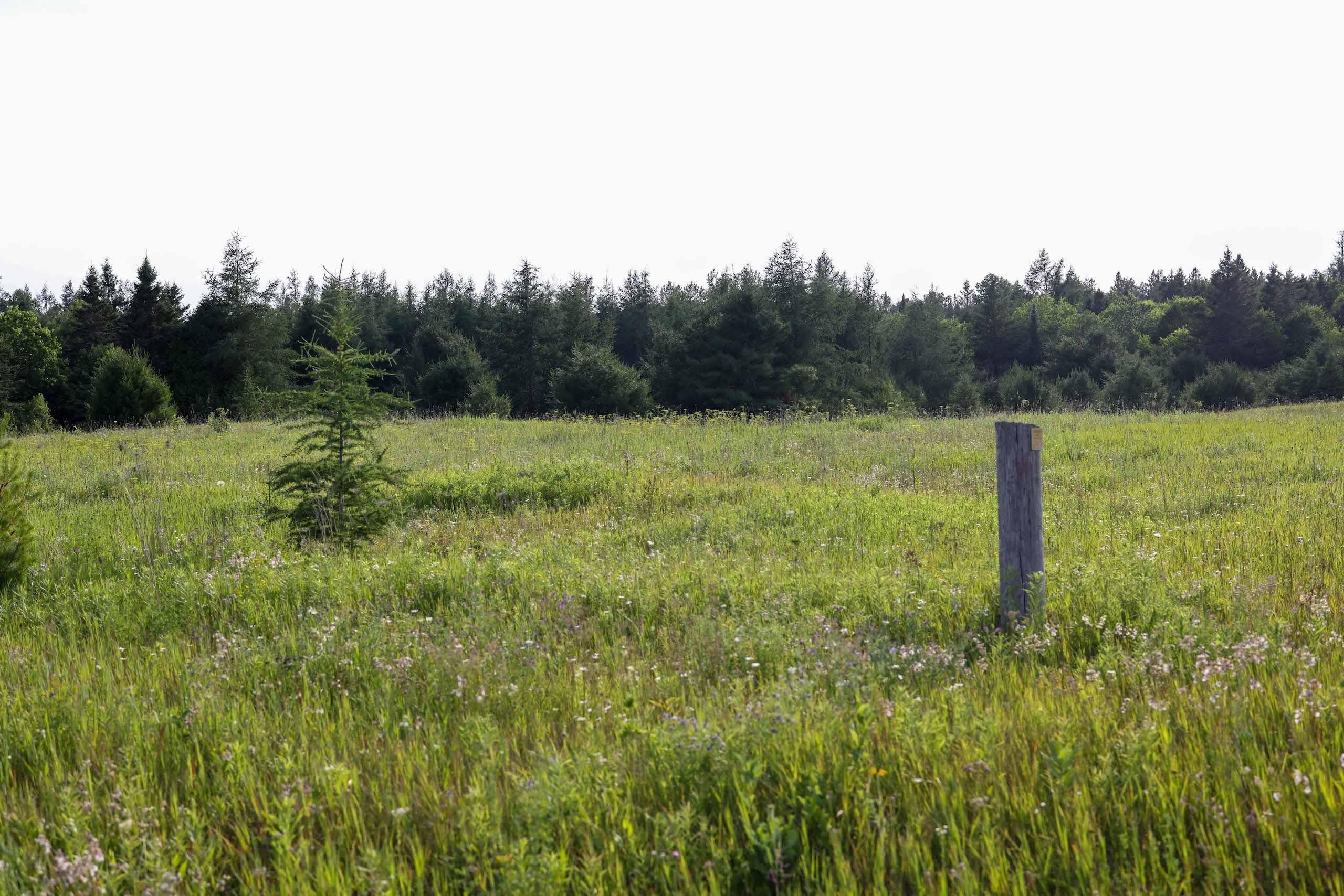 Moran, Mackinac County, MI Recreational Property, Undeveloped Land, Hunting Property for sale