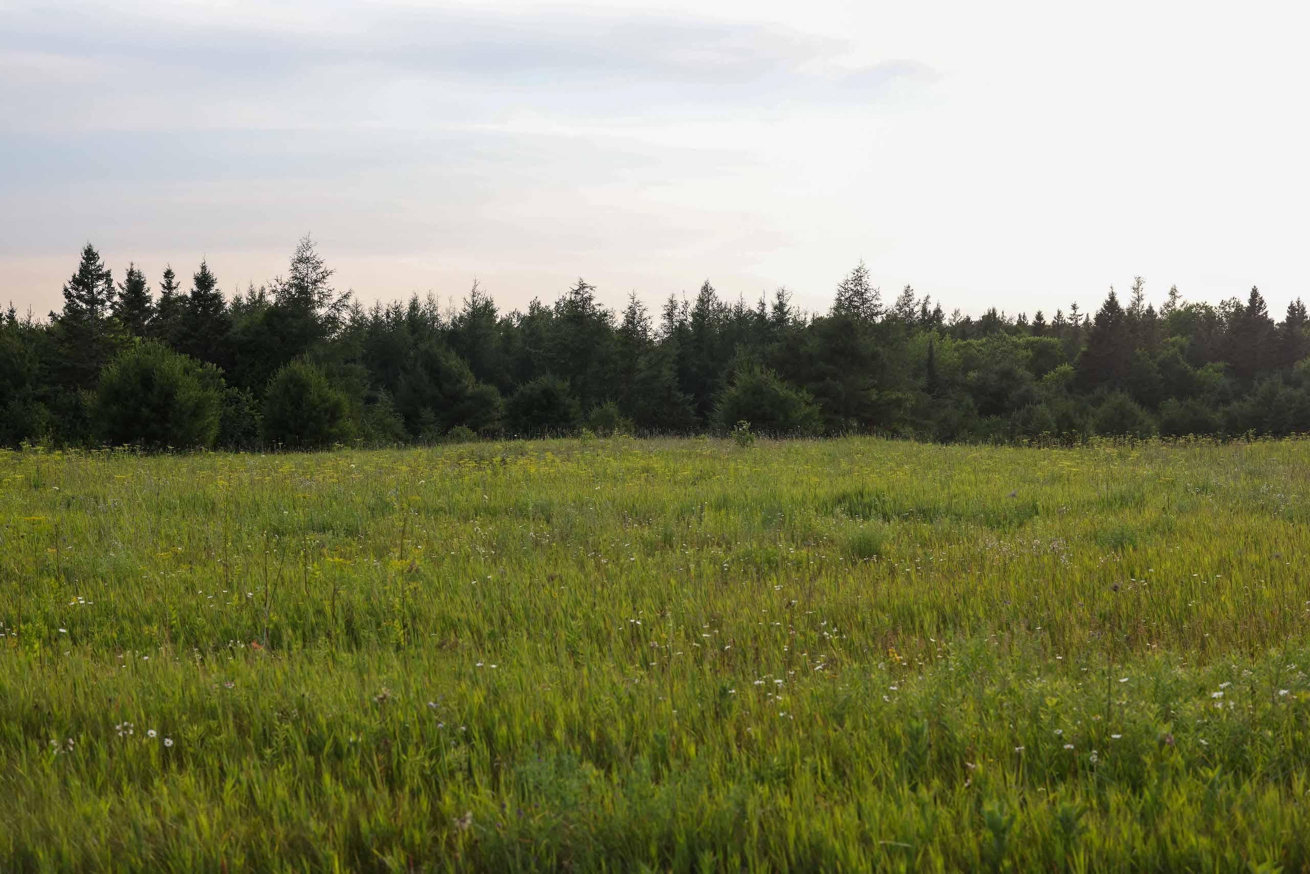 Moran, Mackinac County, MI Recreational Property, Undeveloped Land, Hunting Property for sale