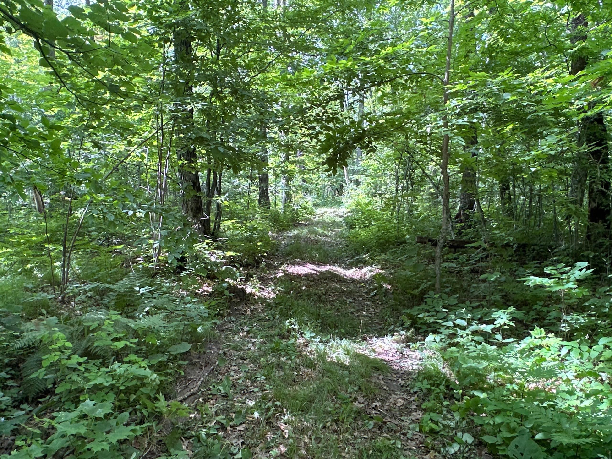 Hillman, Mille Lacs County, MN Recreational Property, Hunting Property for sale Property ID