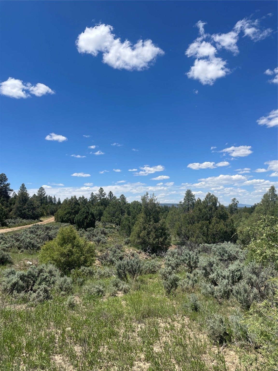 Tbd Talavera S/D, Tierra Amarilla, NM 87575 MLS 202338720 LandWatch